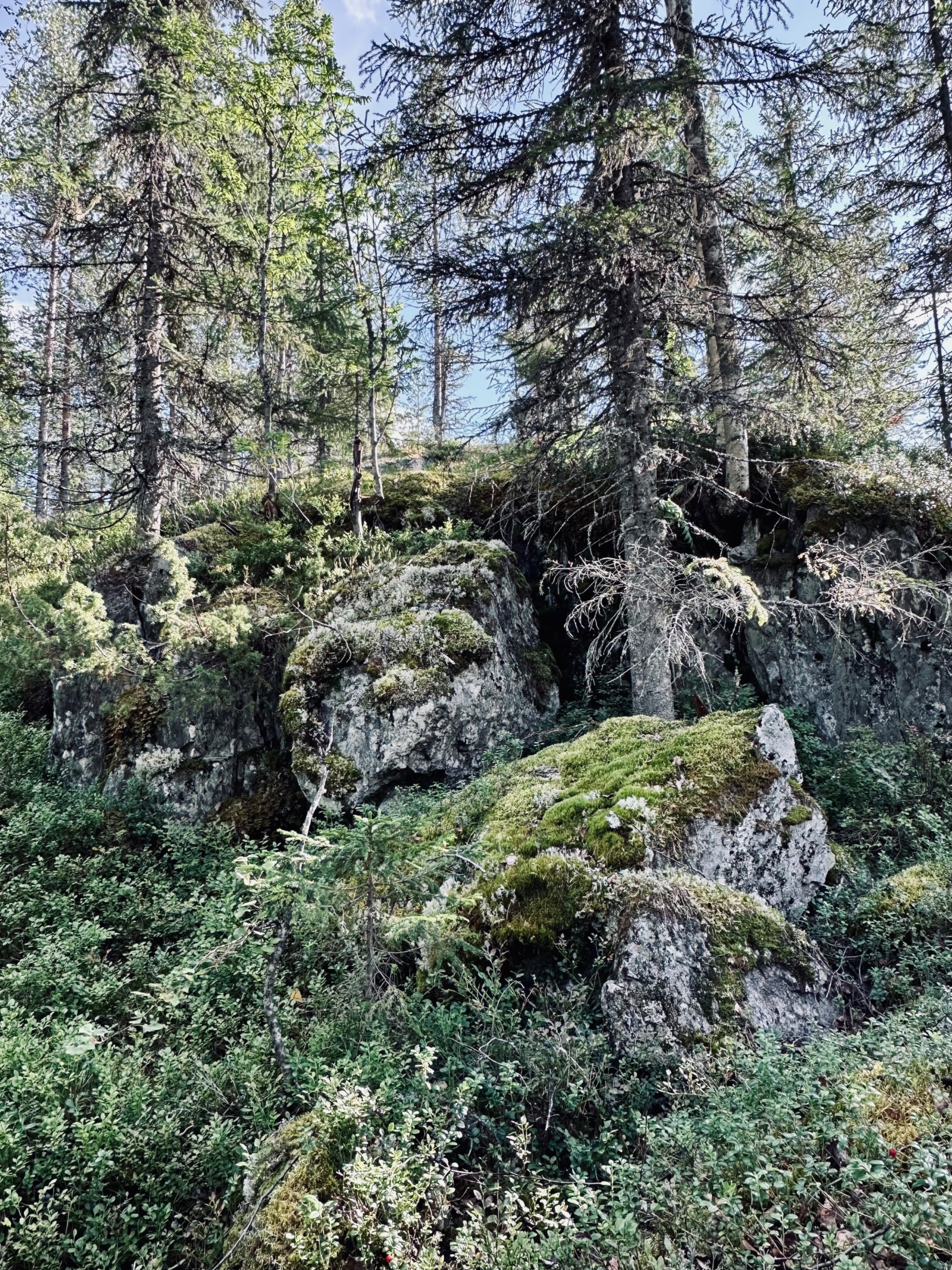Tavelsjö