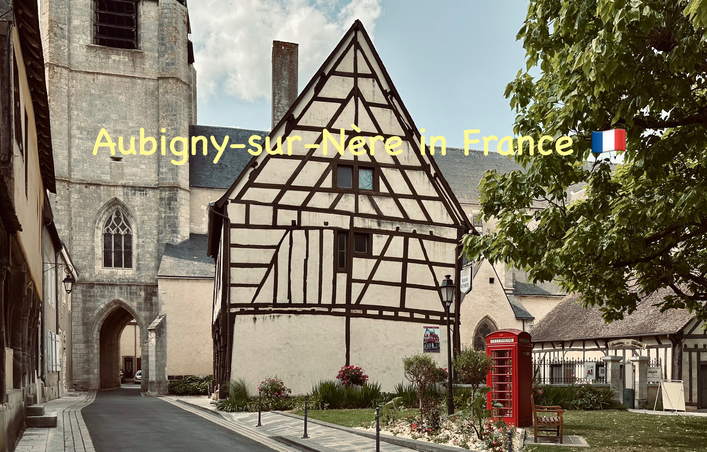 IMG_9950.jpeg