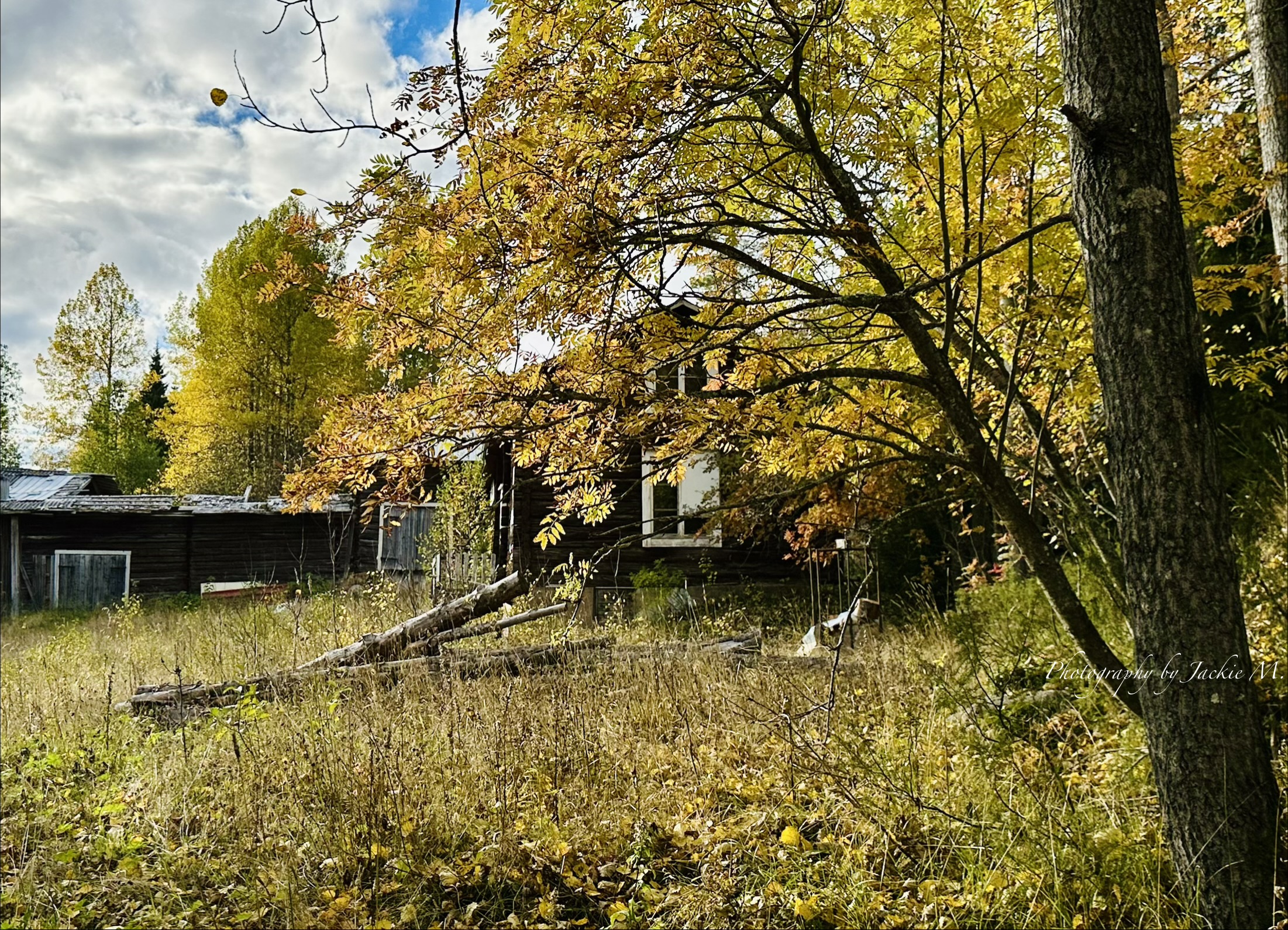 IMG_3897.jpeg