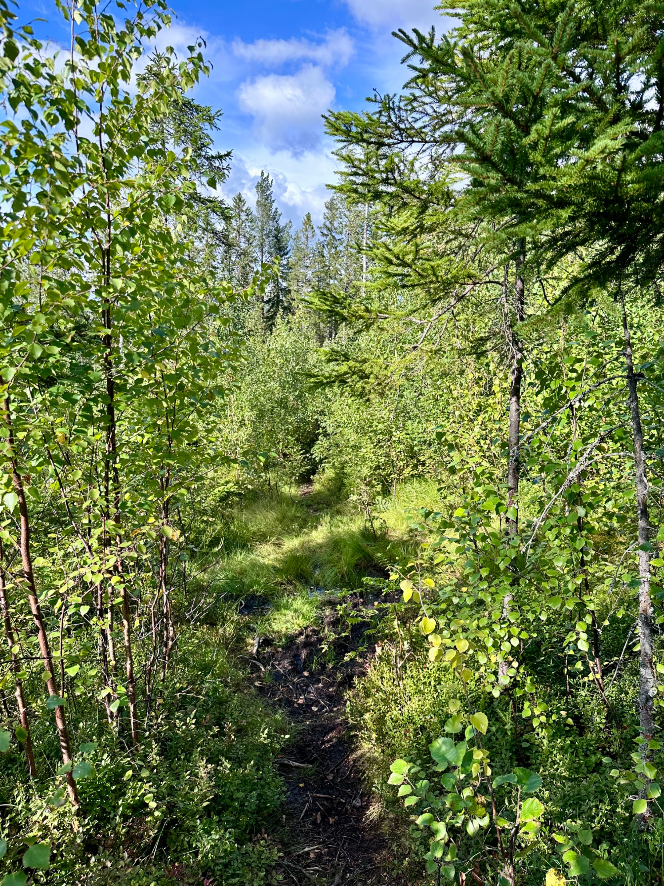Tavelsjö