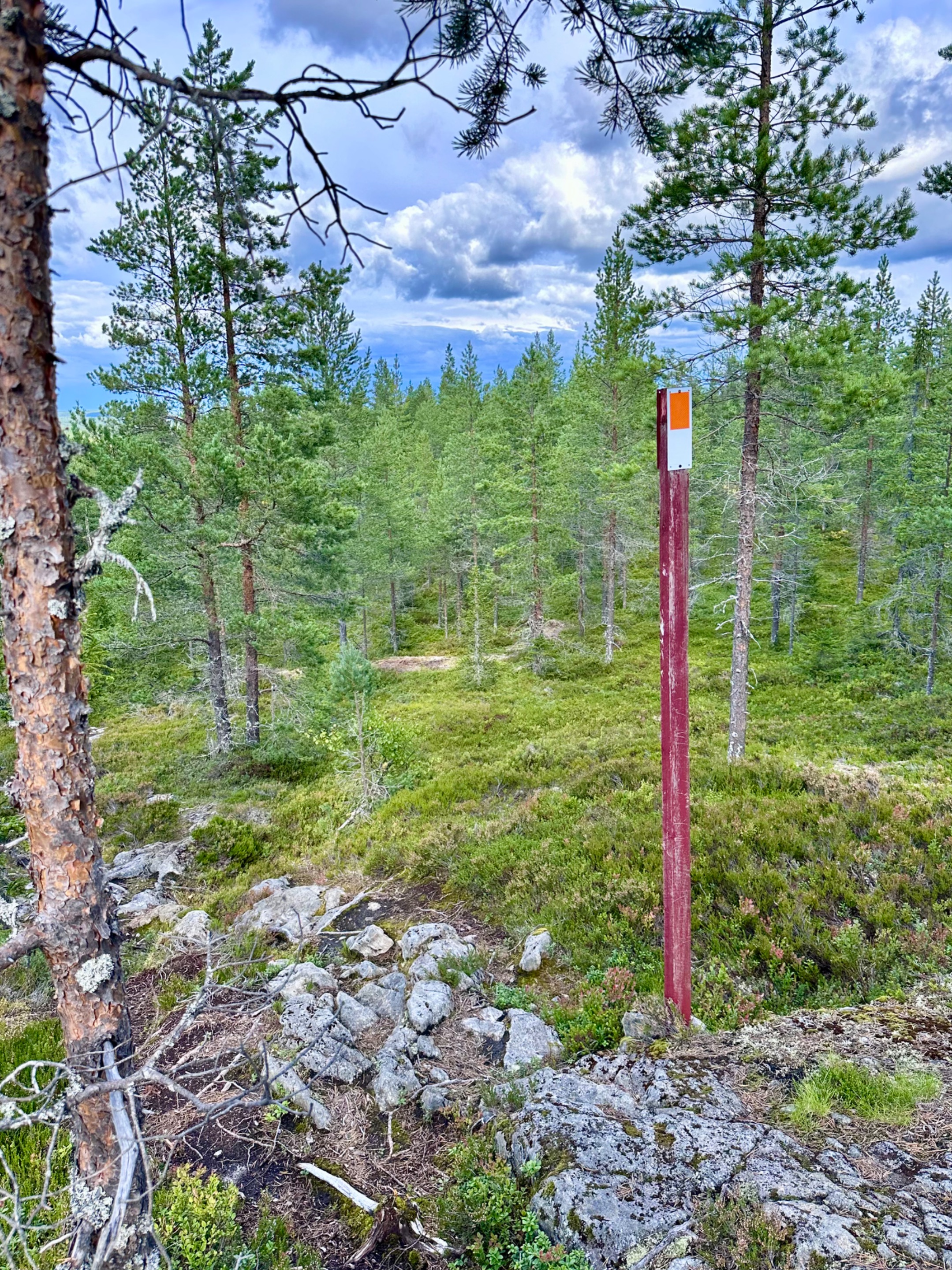 Tavelsjö