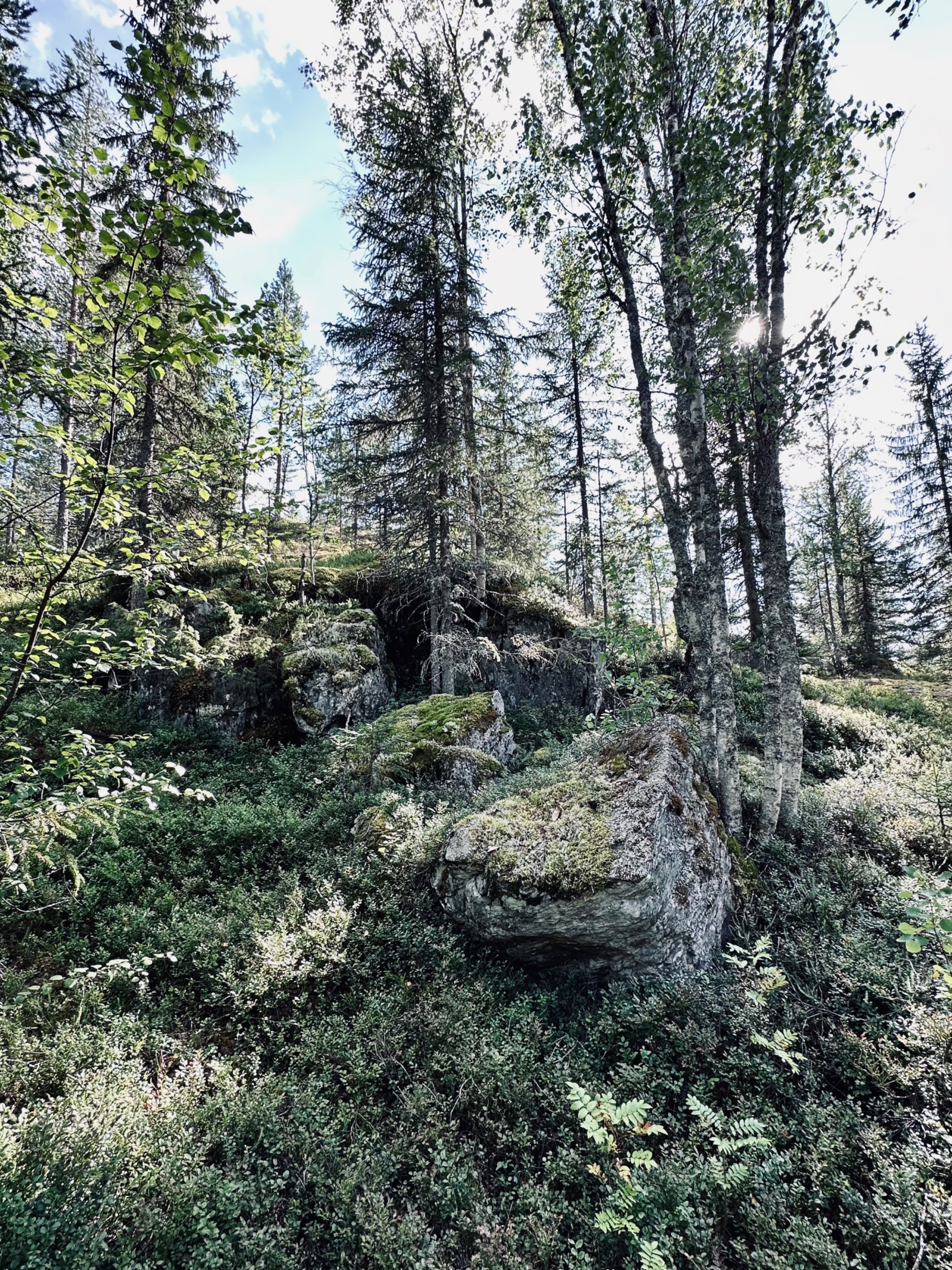 Tavelsjö