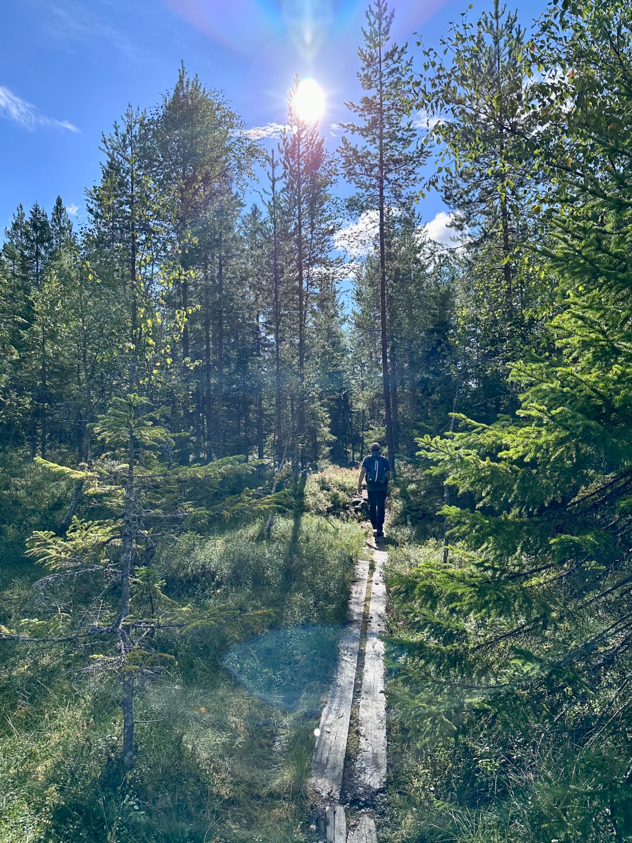 Tavelsjö