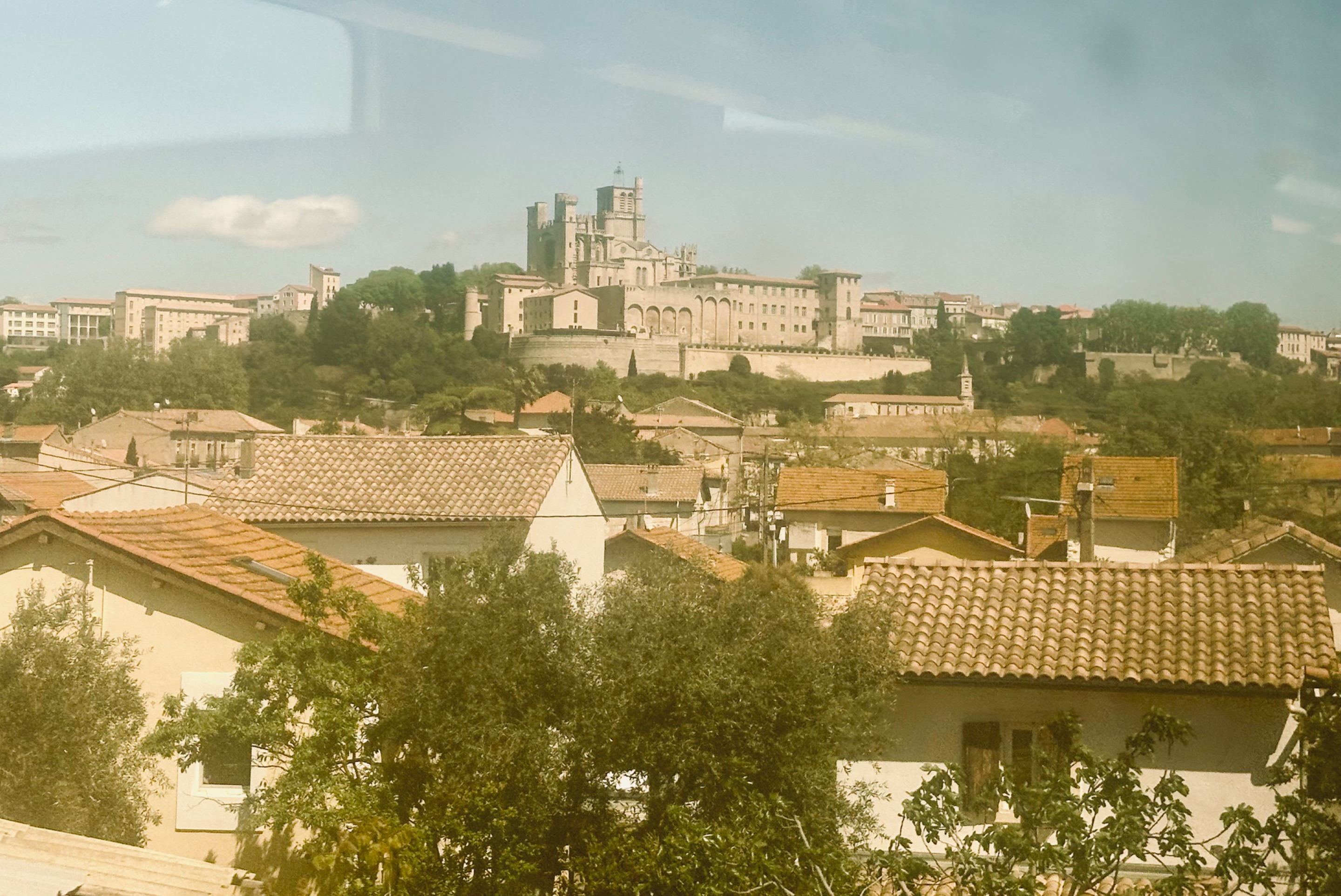 IMG_7610.jpeg