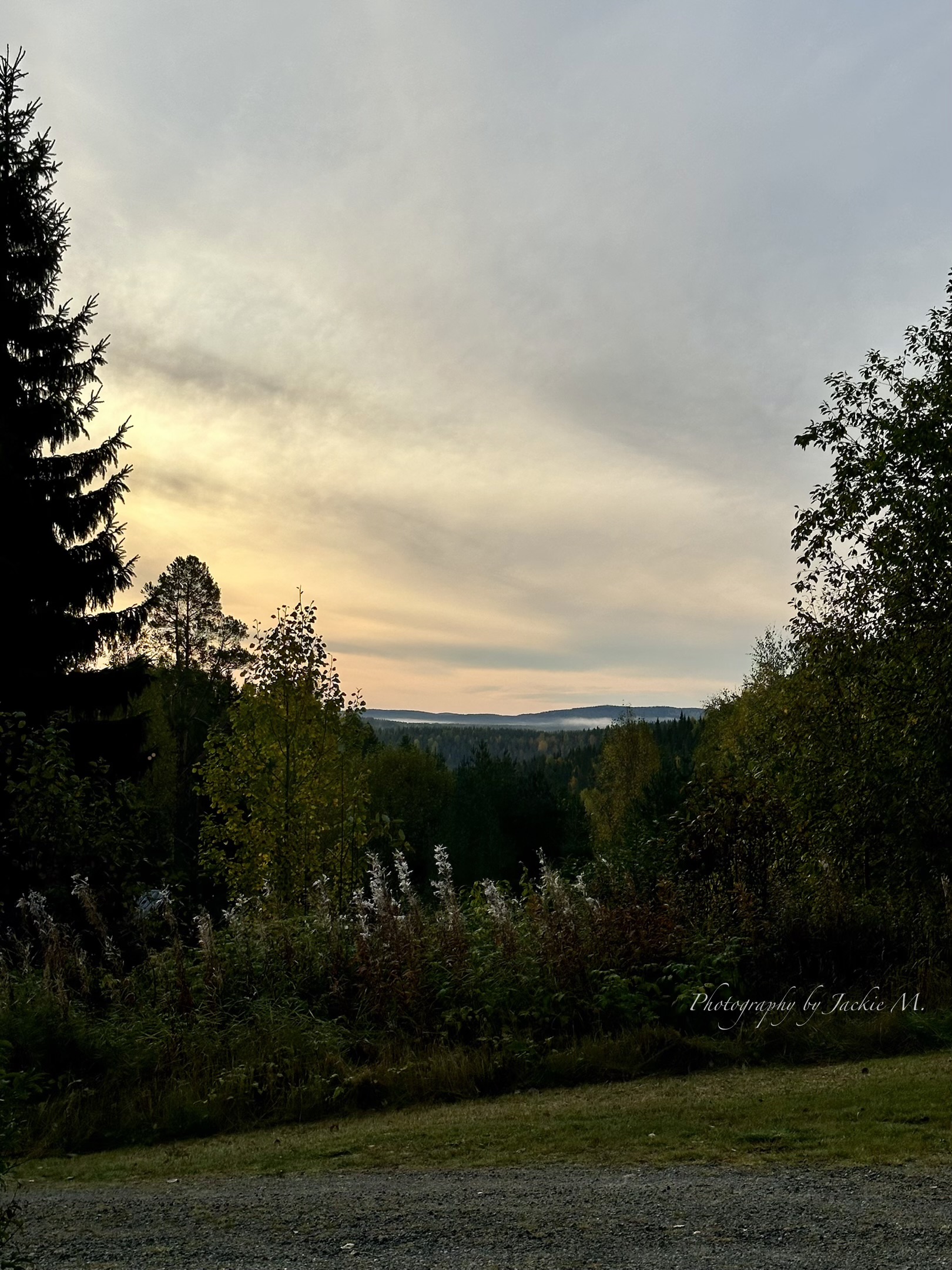 IMG_3761.jpeg