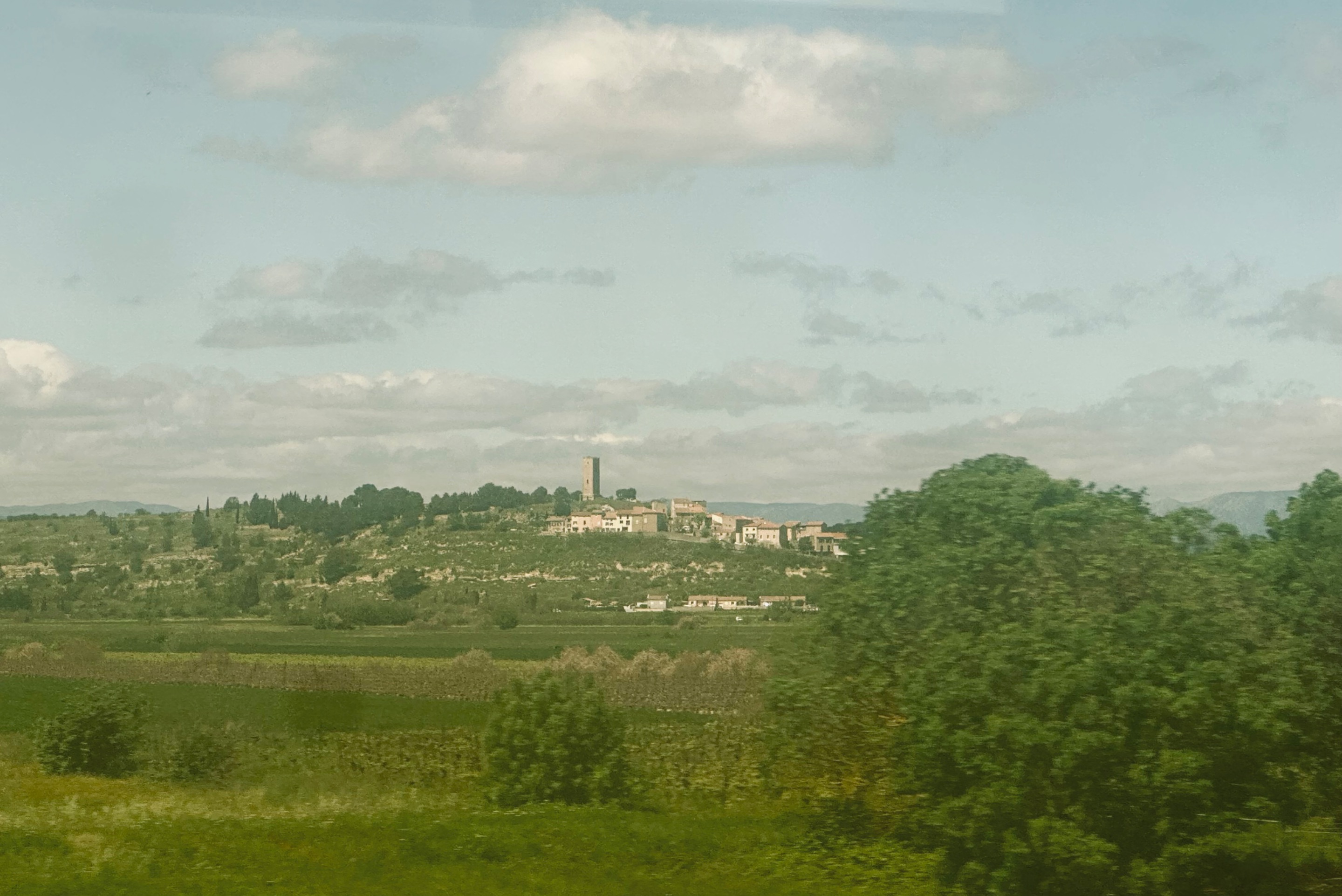 IMG_7608.jpeg