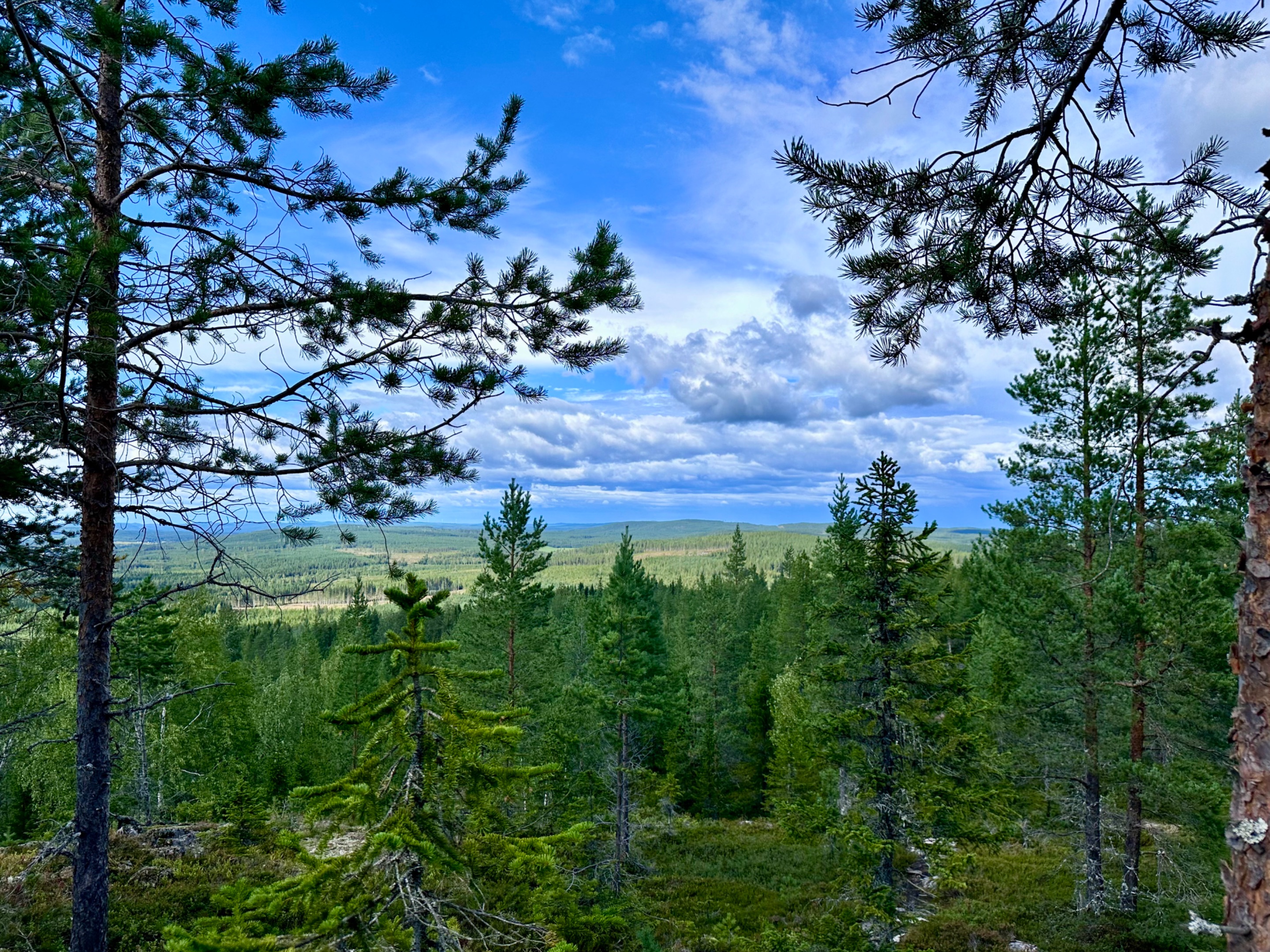 Tavelsjö