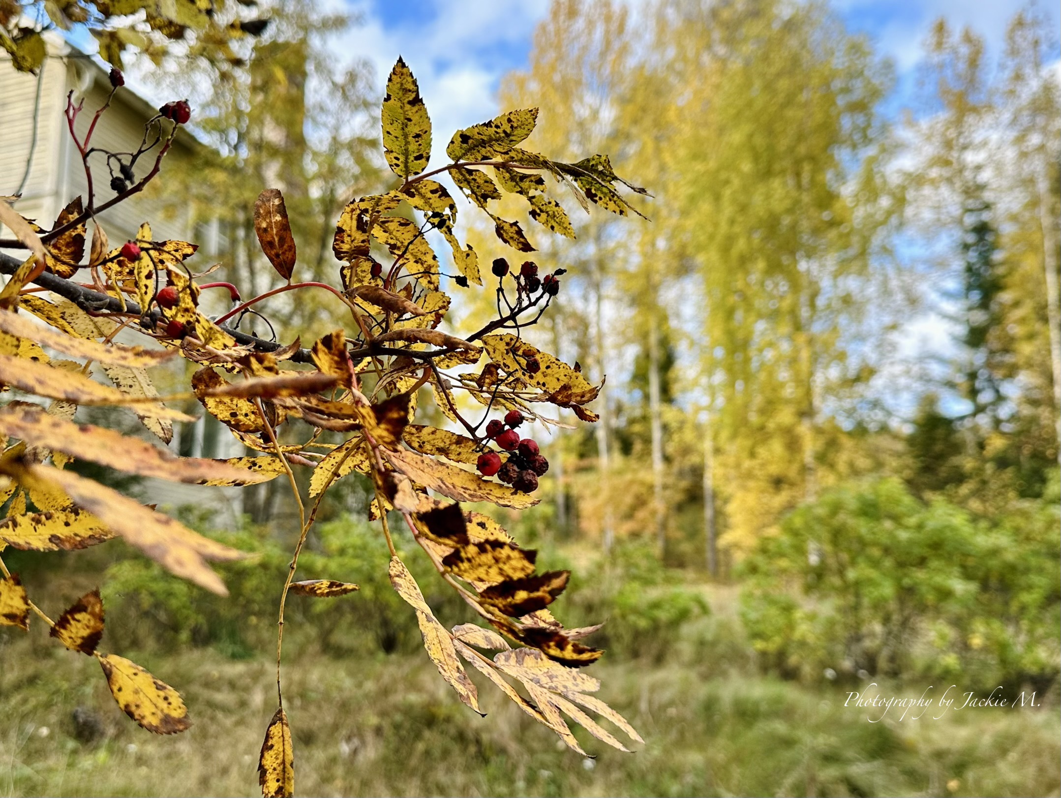IMG_3870.jpeg