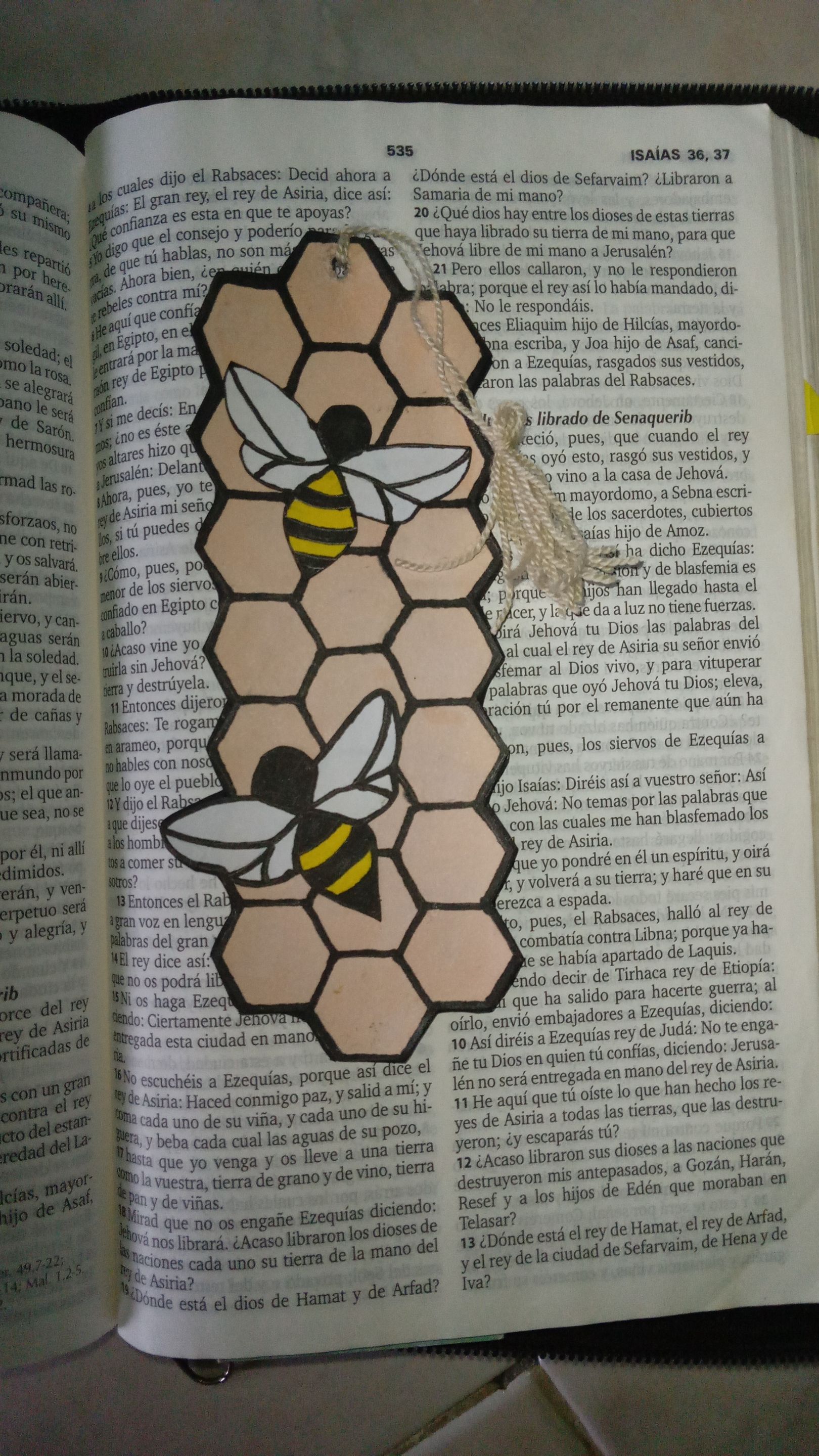 20250826_172656.jpg