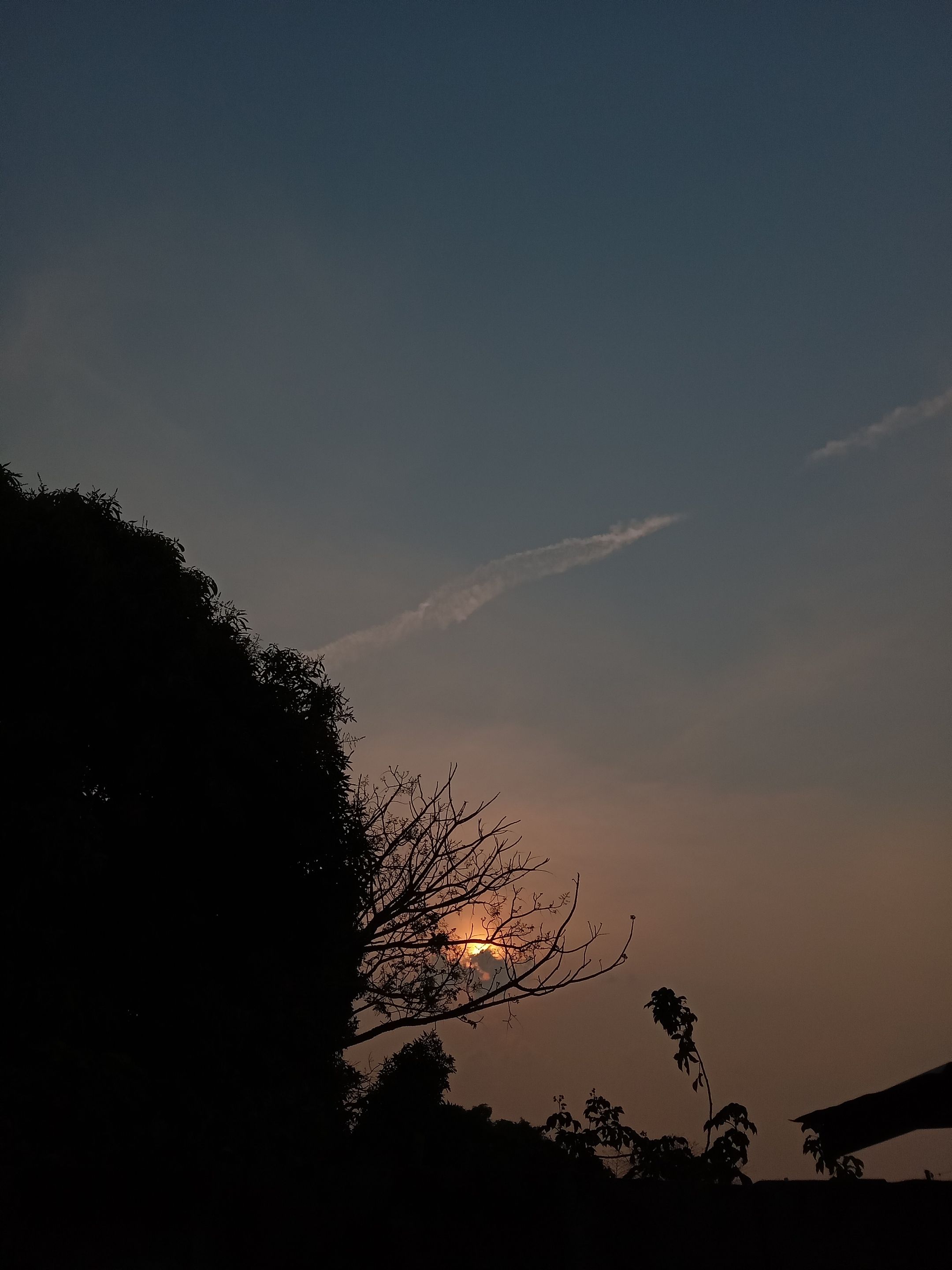 20240325_171750.jpg