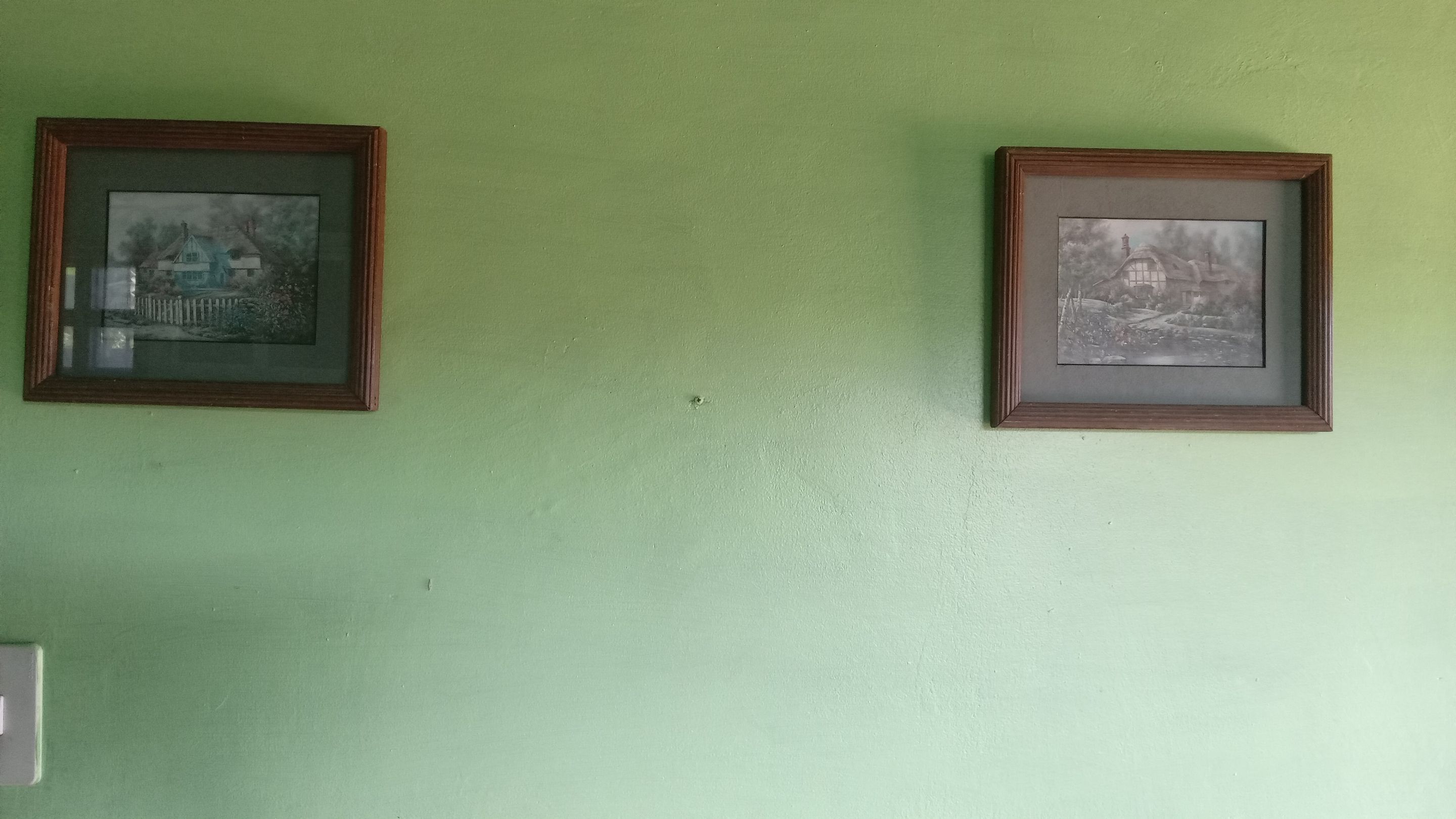 20250811_101919.jpg