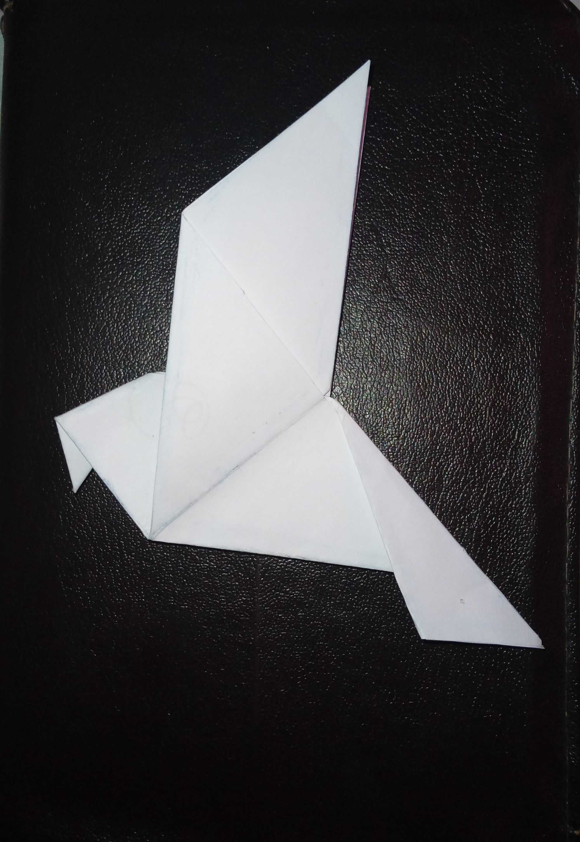 20250924_095357.jpg