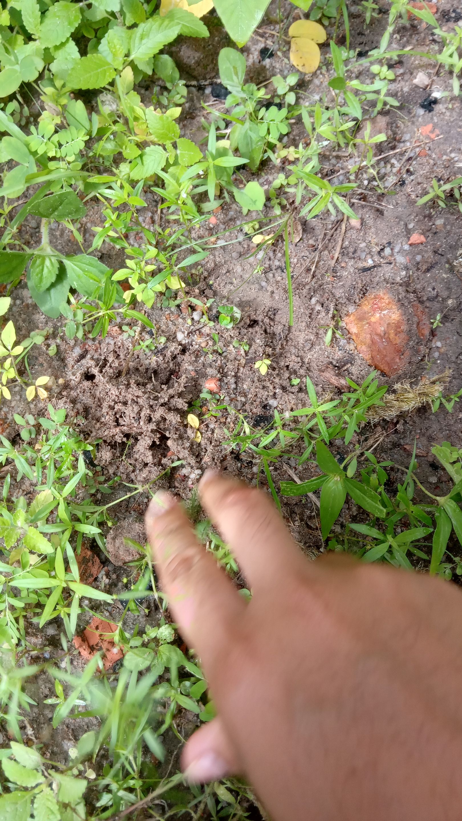 20250624_093840.jpg