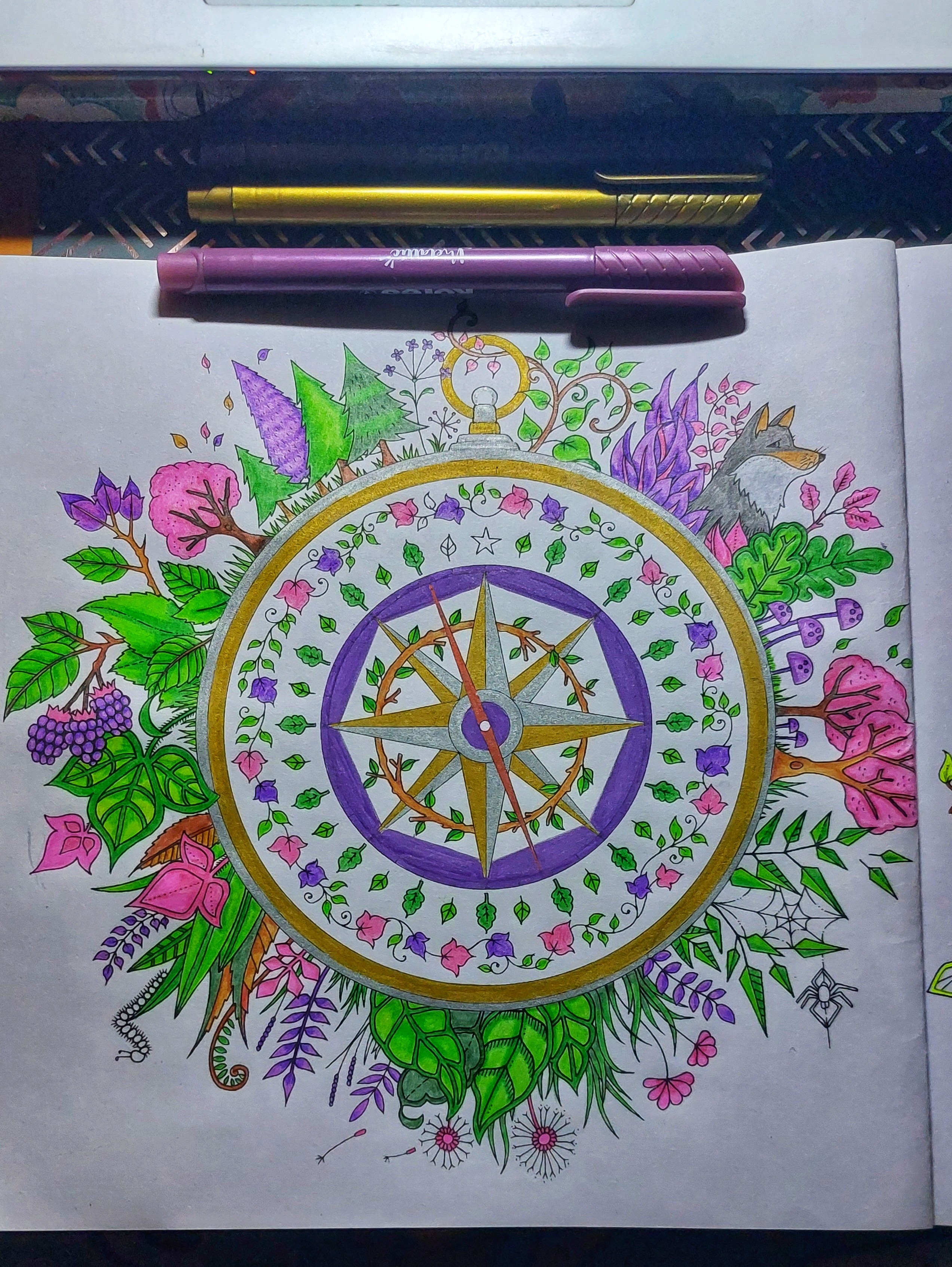 1000802293.jpg