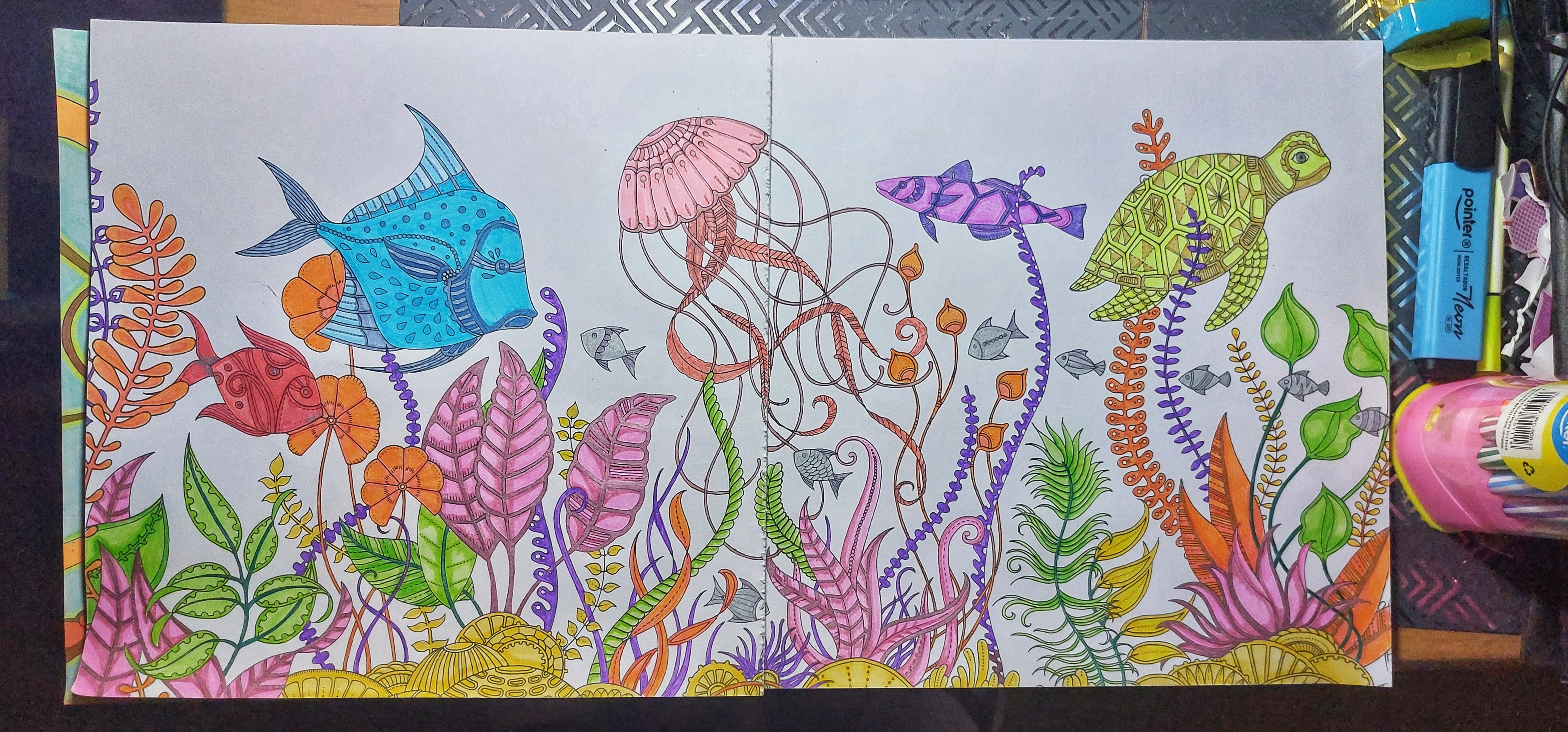 1000857616.jpg