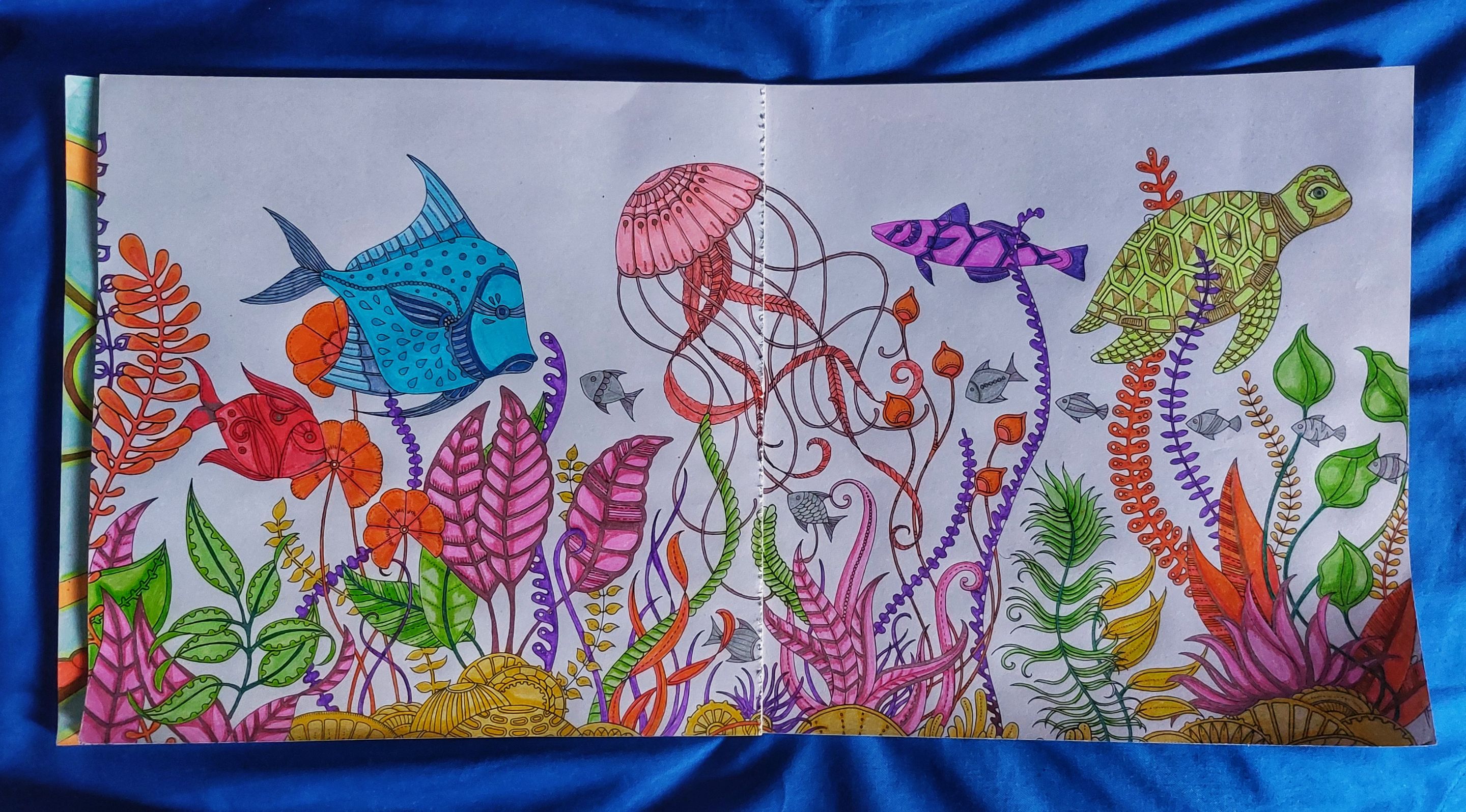 1000857617.jpg