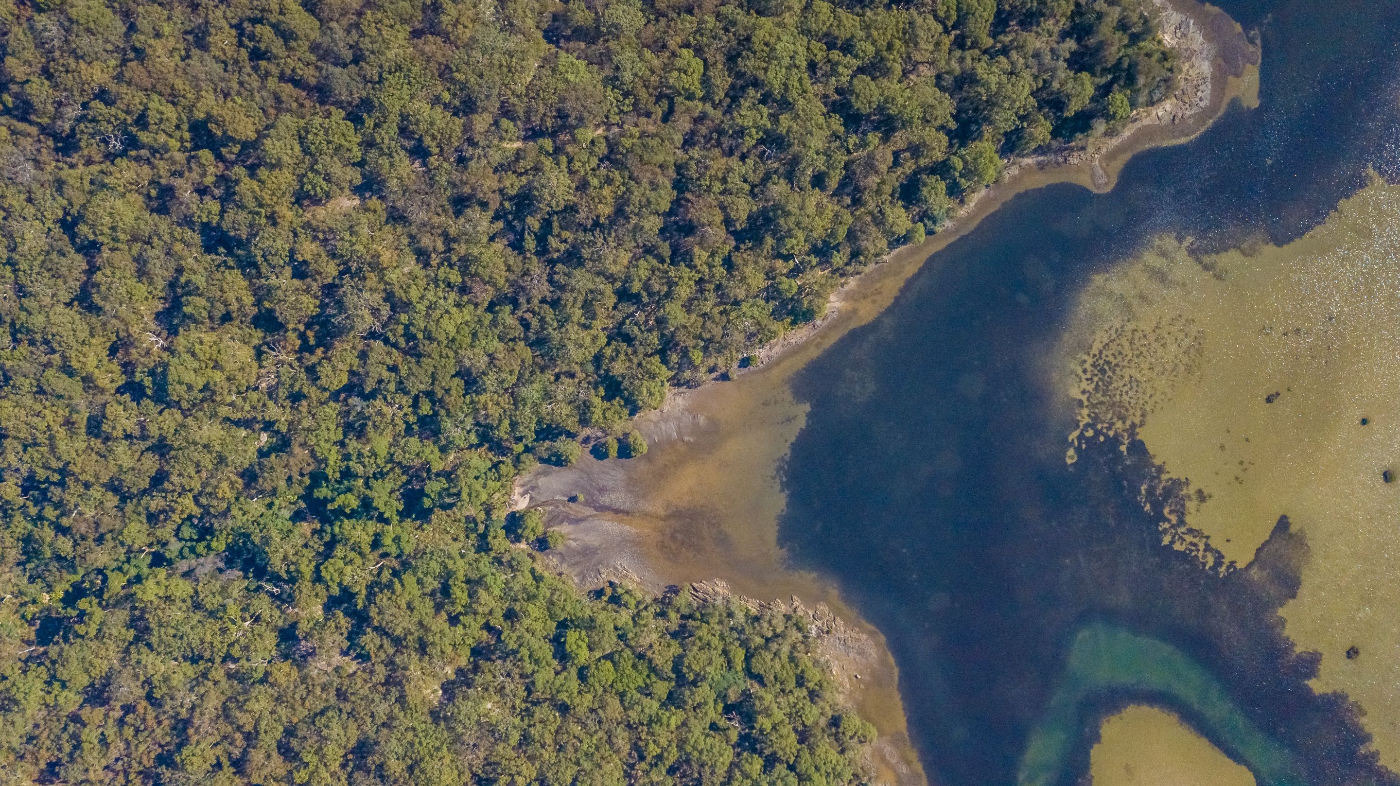 DJI_0230-HDR.jpg