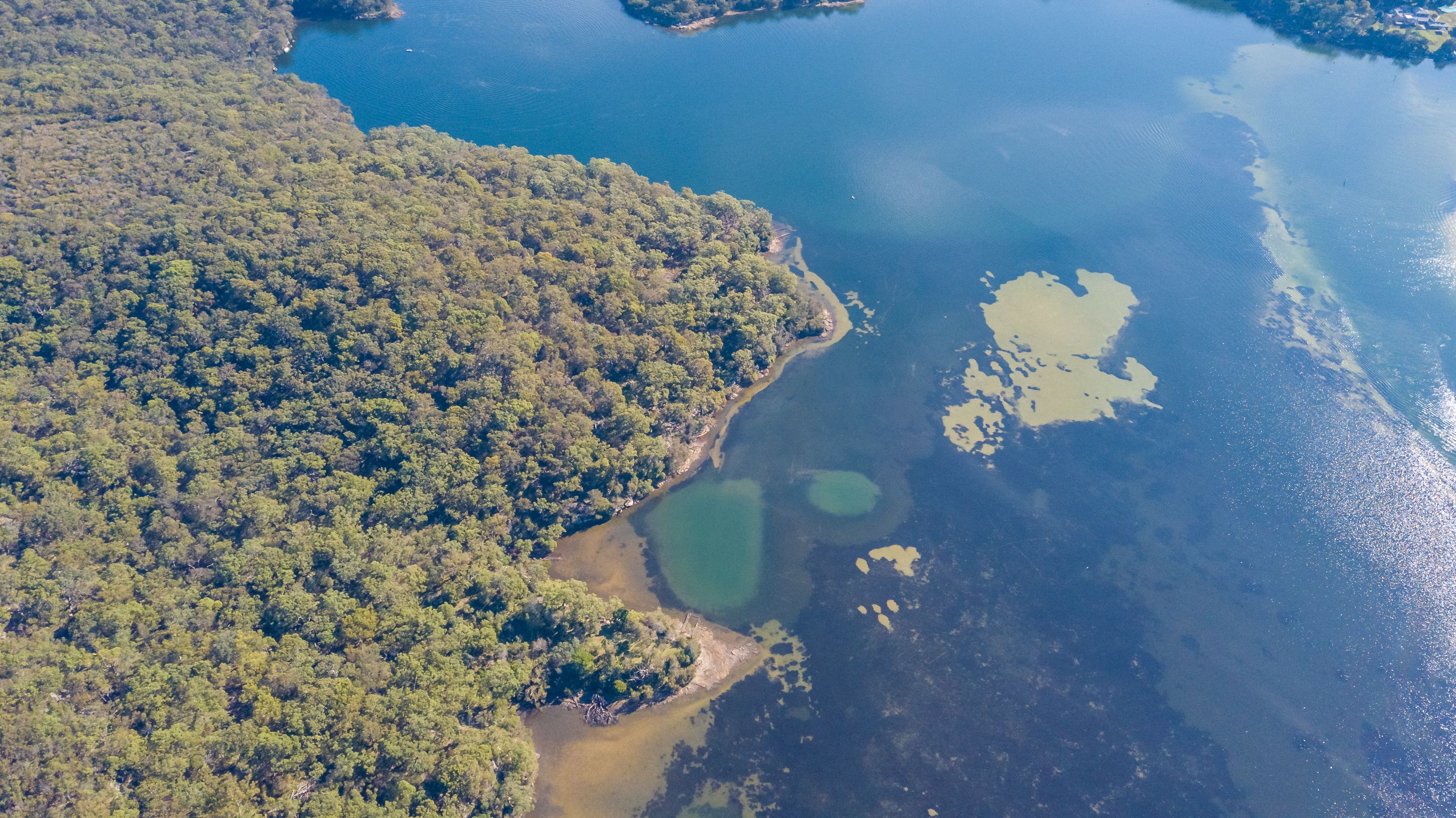 DJI_0246-HDR.jpg