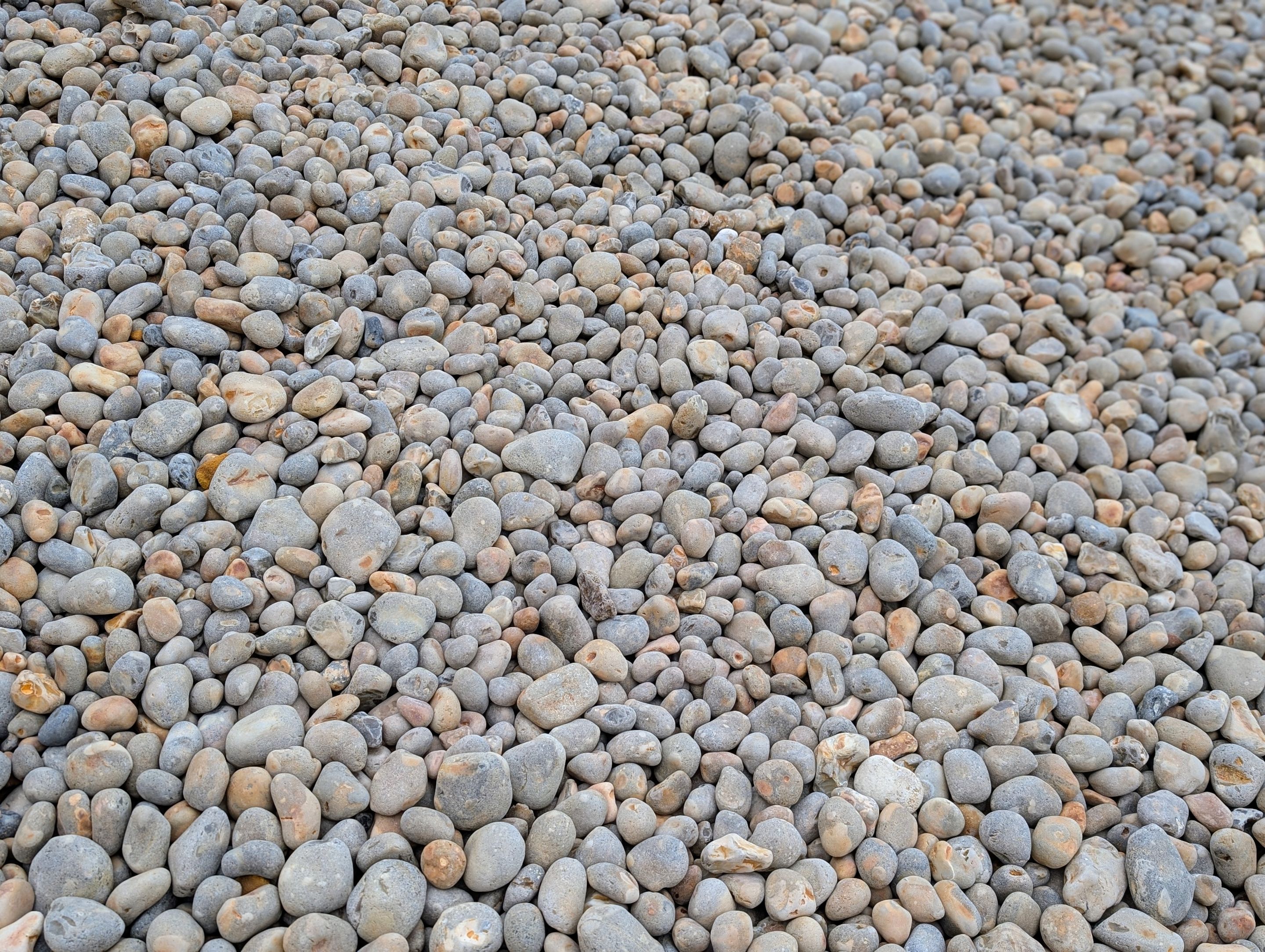 1000042344.jpg