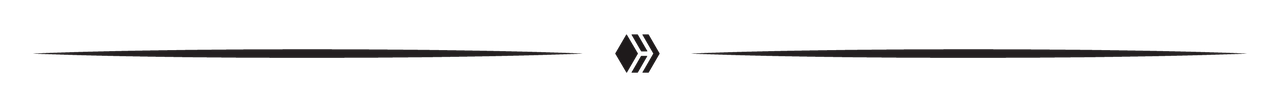 B_W Hive divider.png