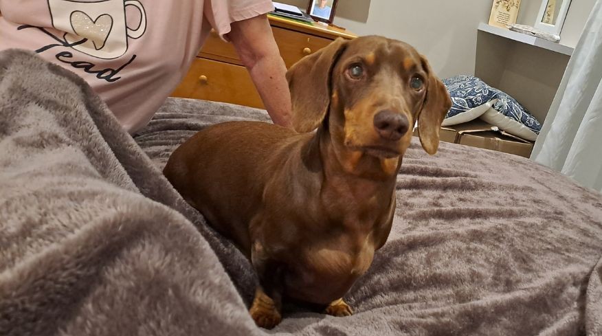crusoe.jpg
