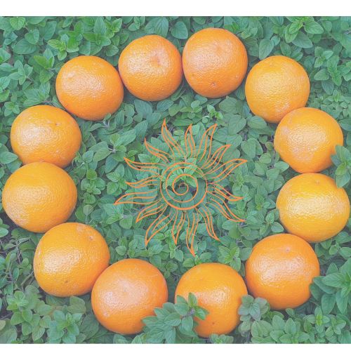 Burnt Orange Solstice Boho Sun Logo.jpg