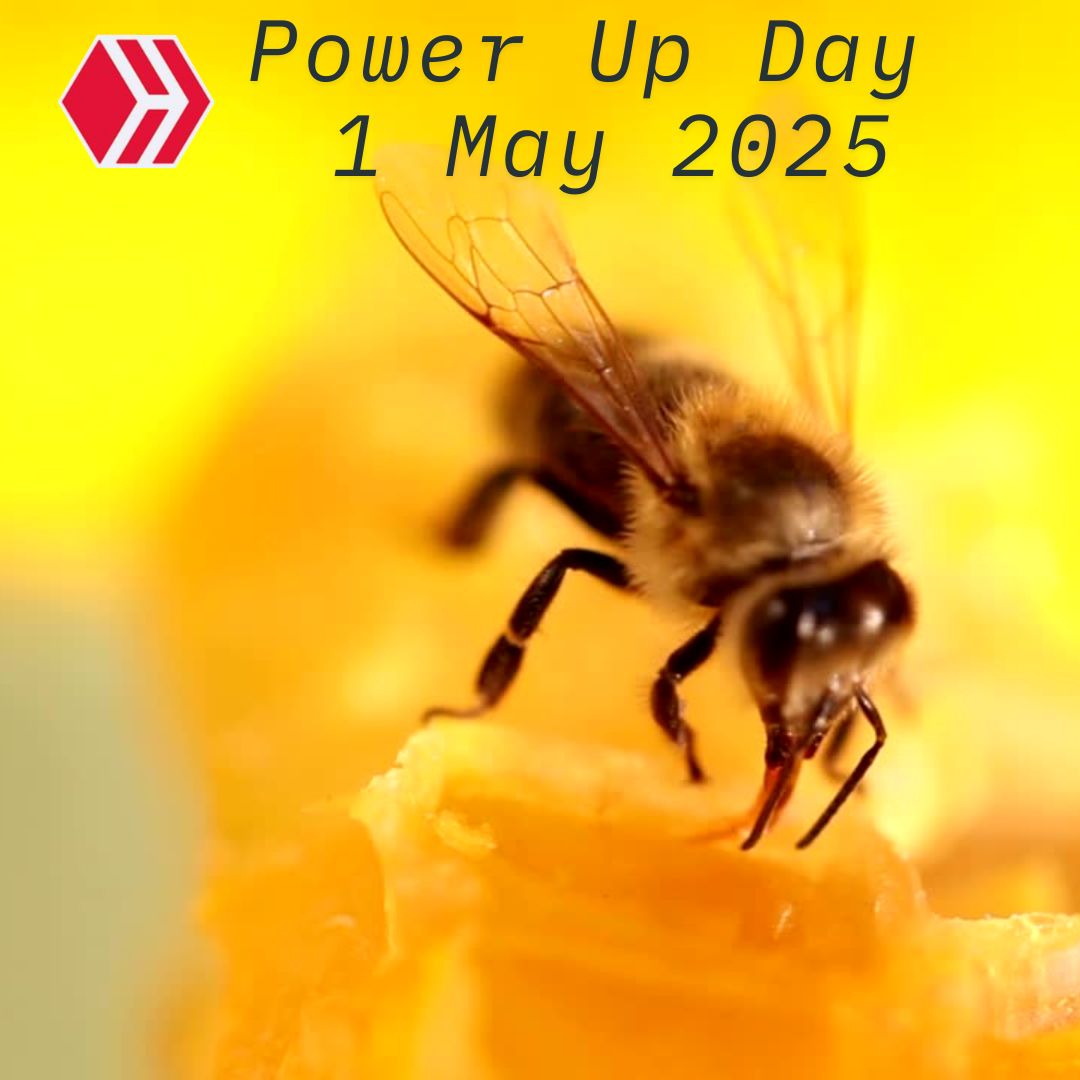 HIVE PUD MAY 2025.jpg