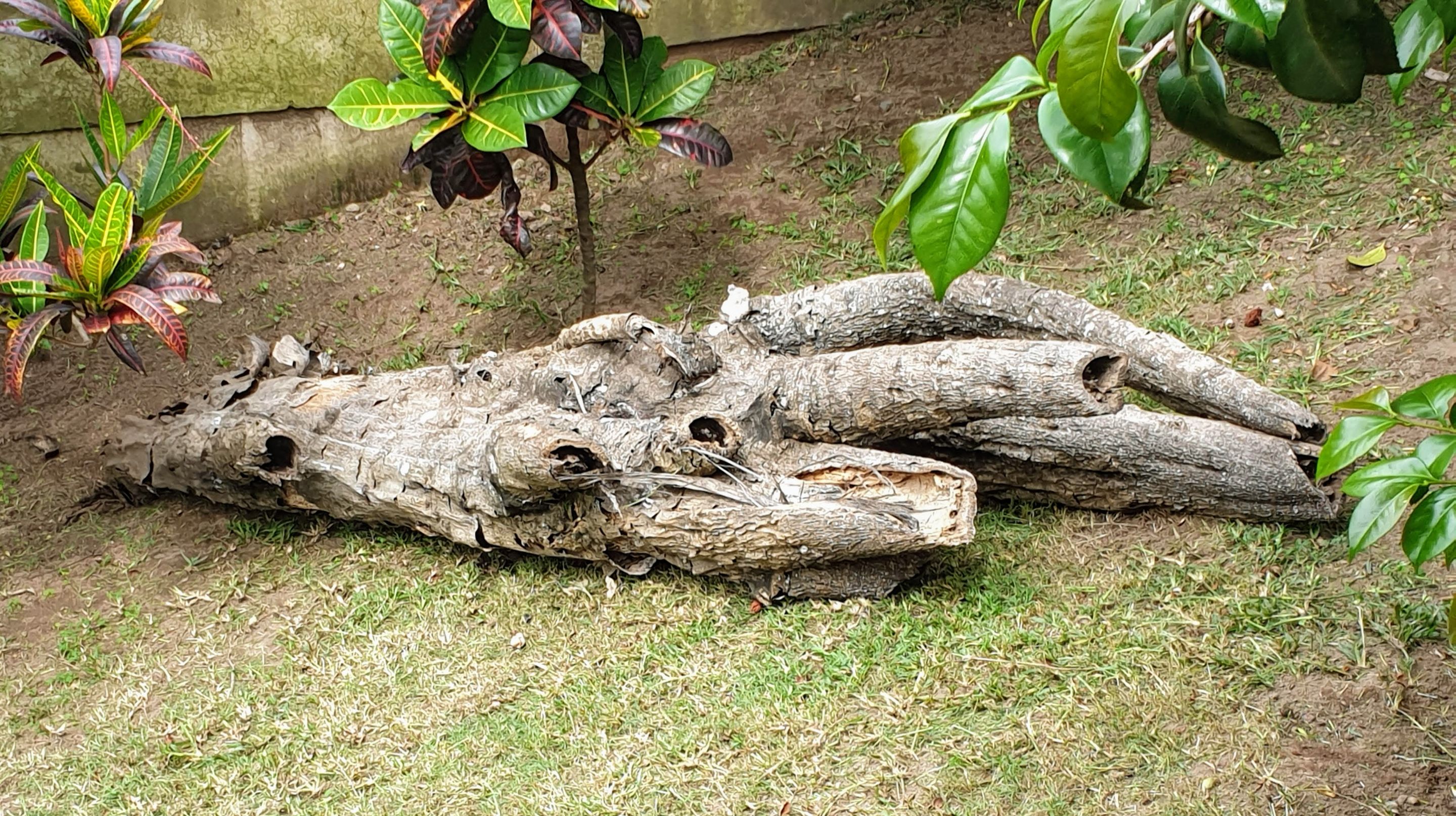 20201121_131707.jpg