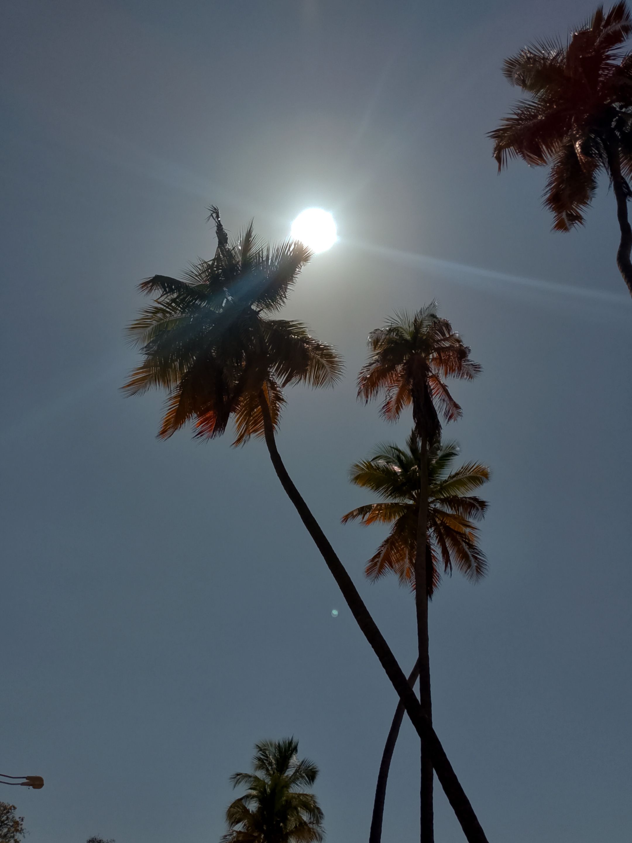 InShot_20250303_171957678.jpg/