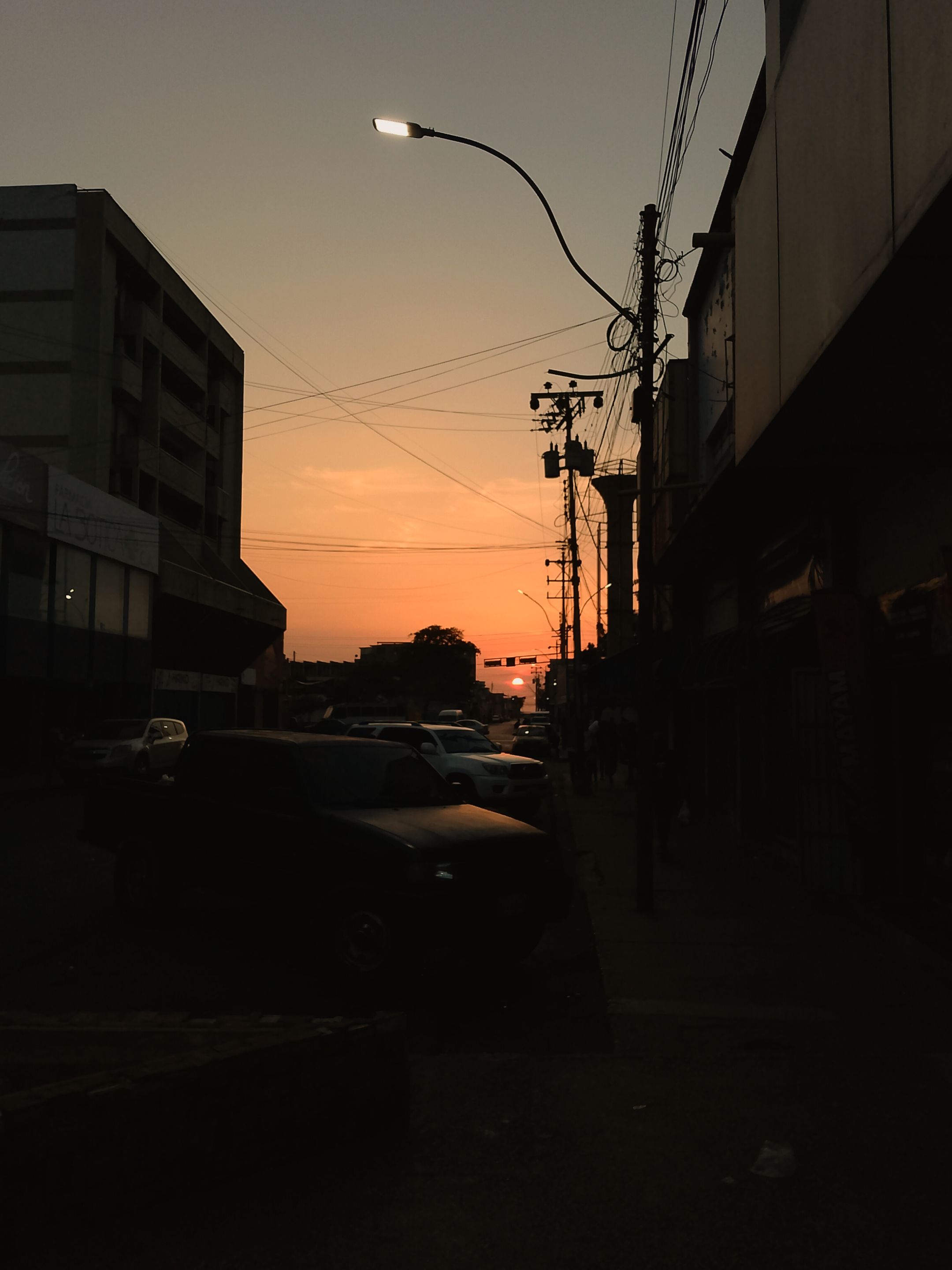 InShot_20250304_132232321.jpg/