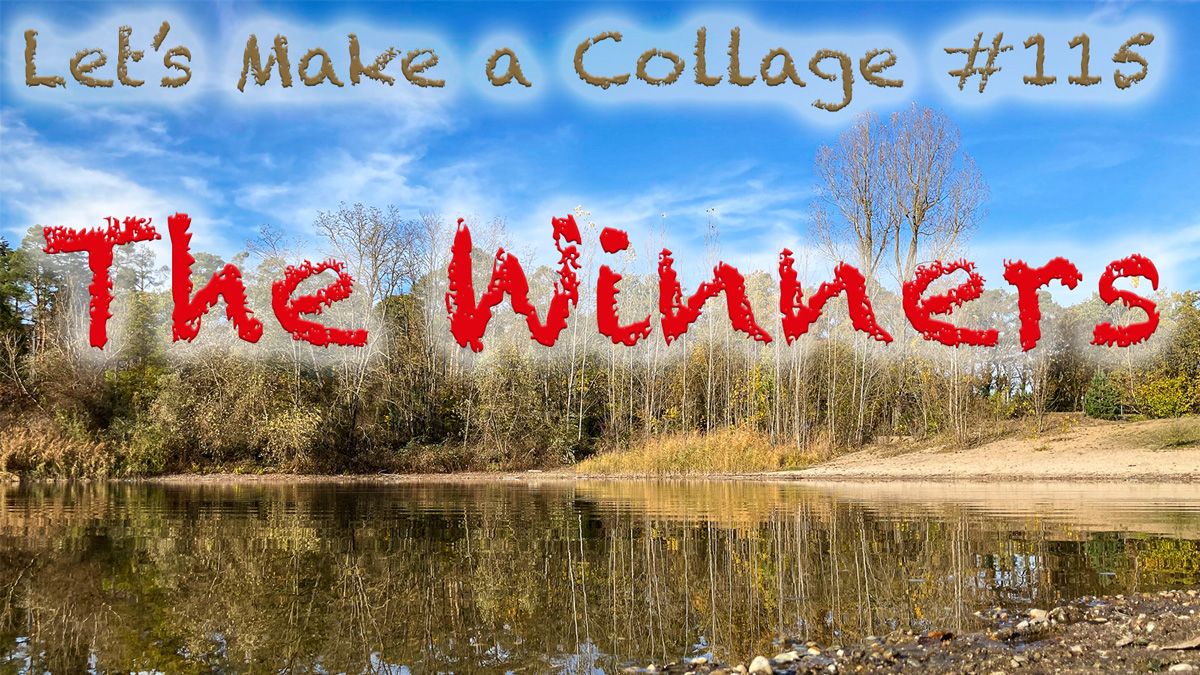 115-winners.jpg