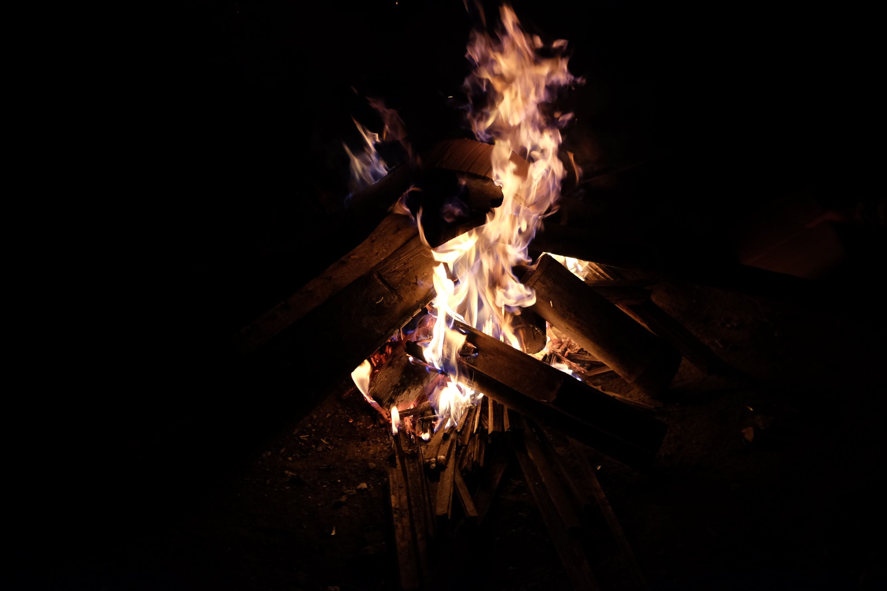 2020_0229_23093000.jpg