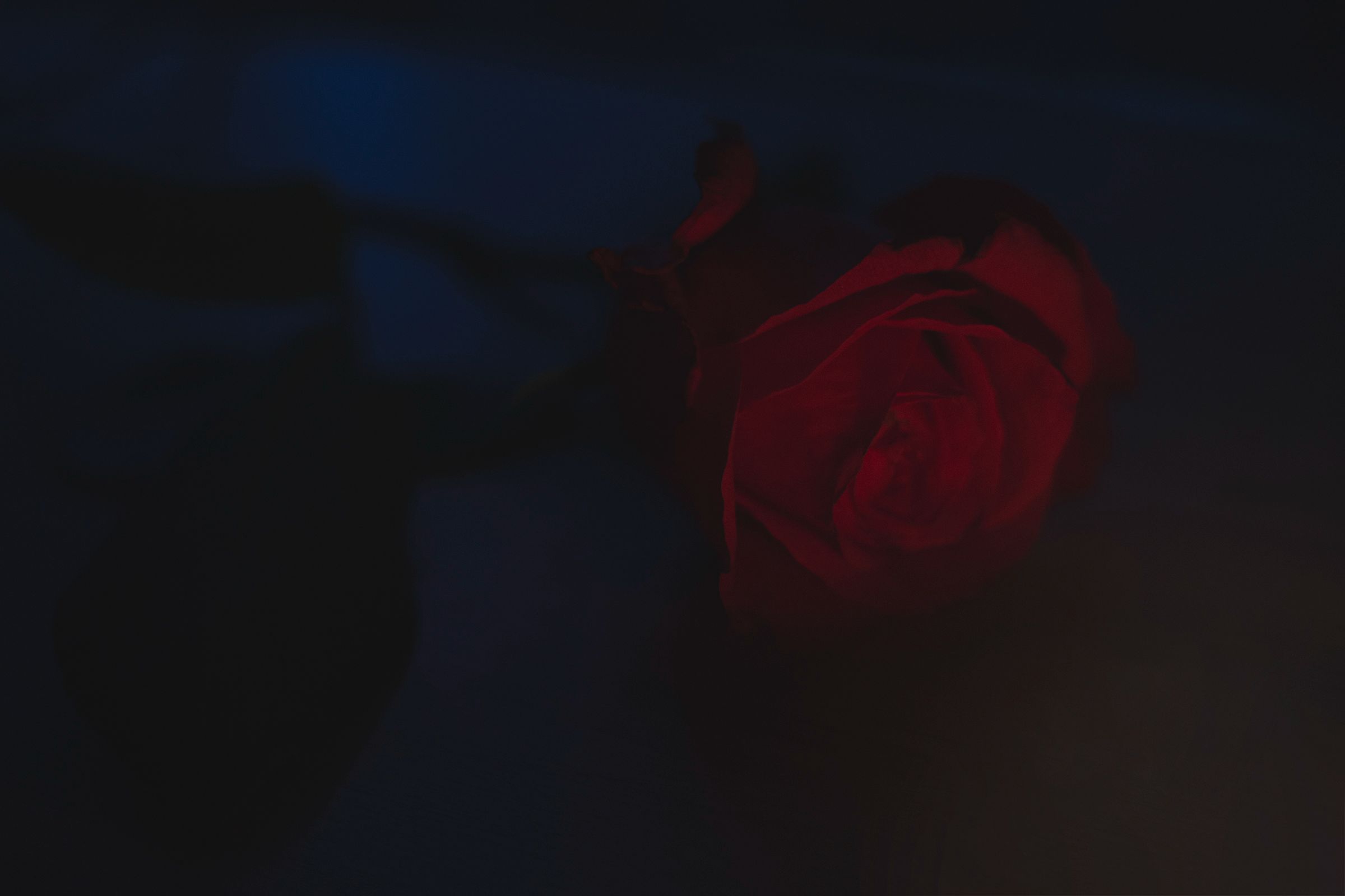 DSC_0026.jpg