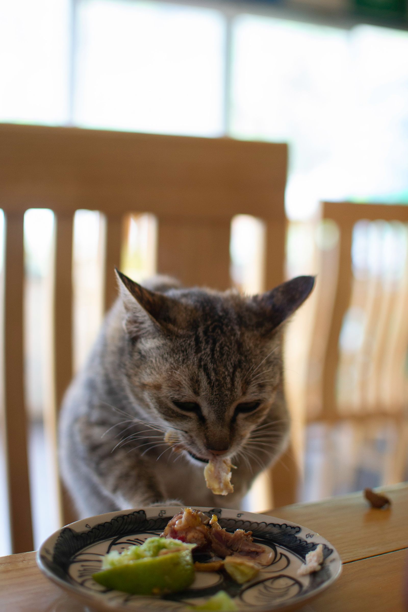DSC_0633.jpg
