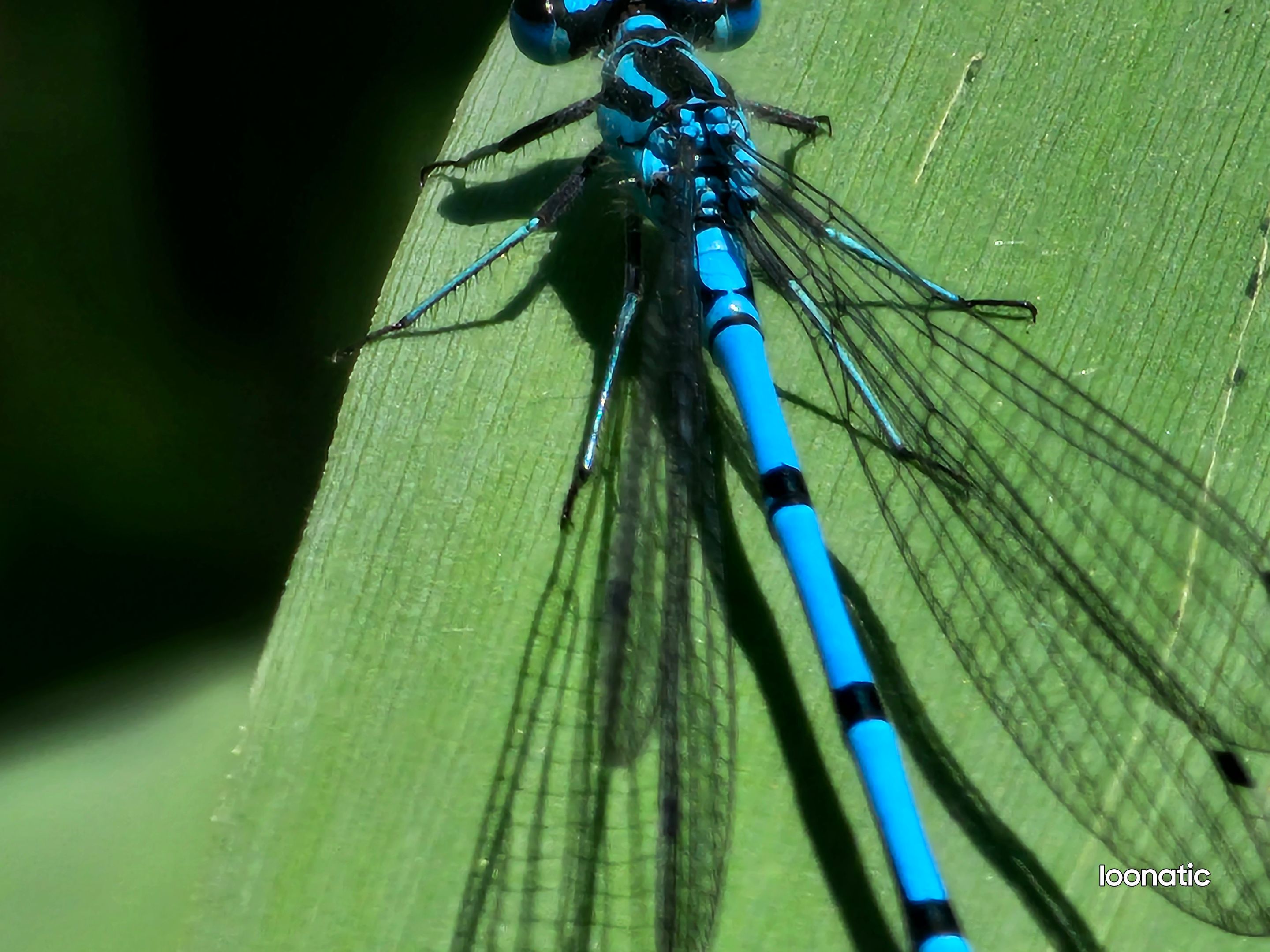 20230615_141411.jpg