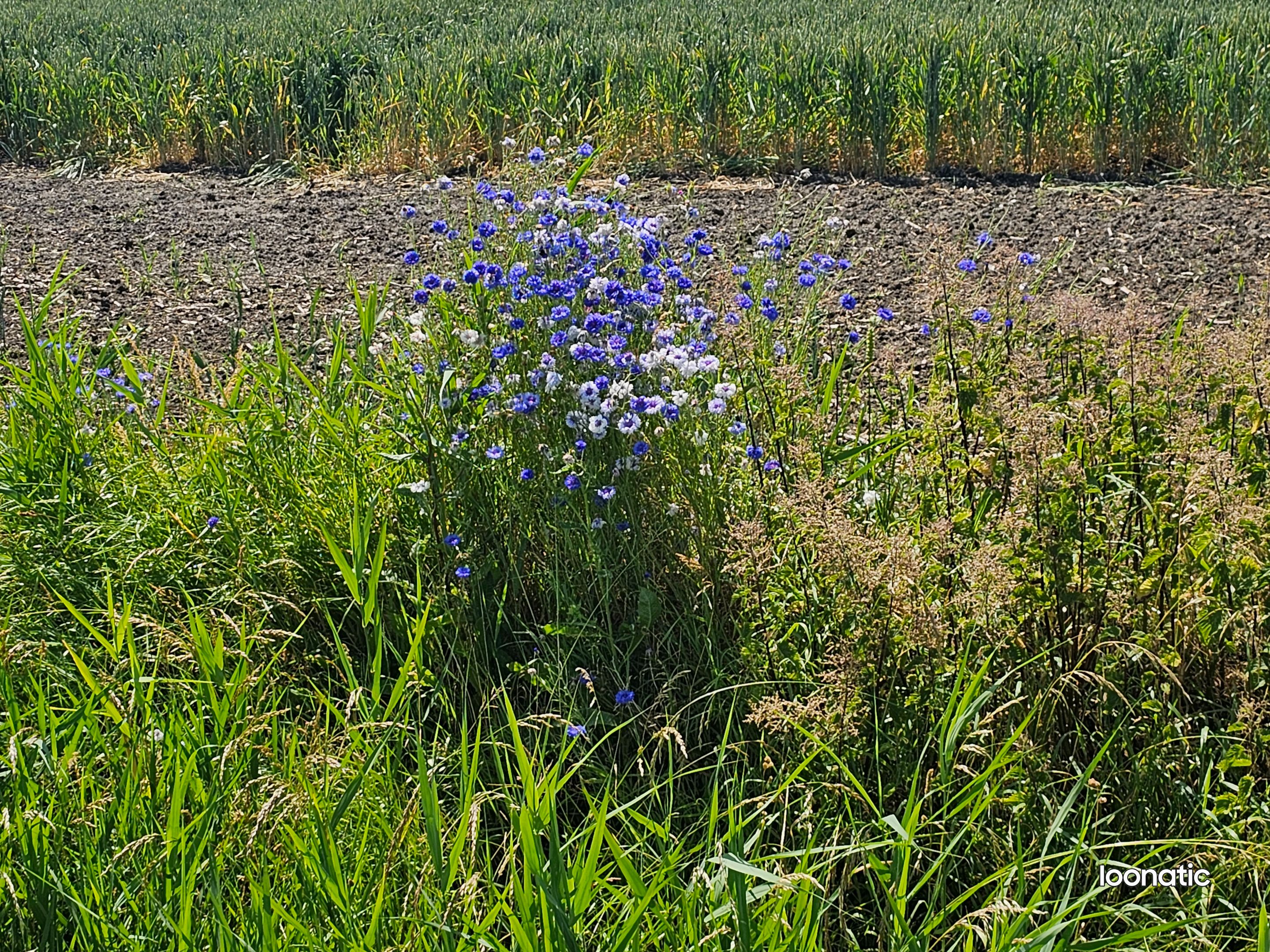 20230621_151229.jpg
