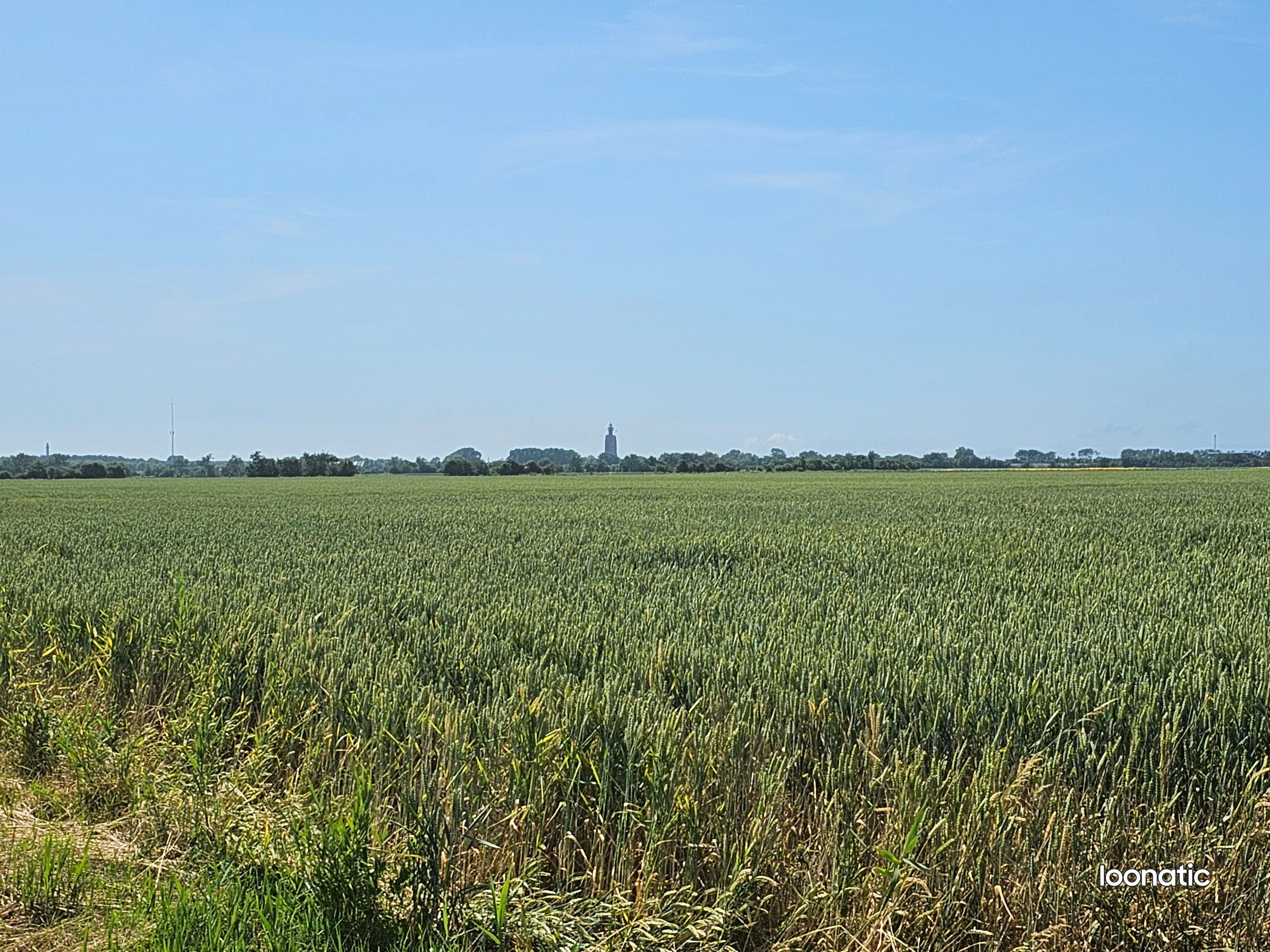 20230621_151157.jpg