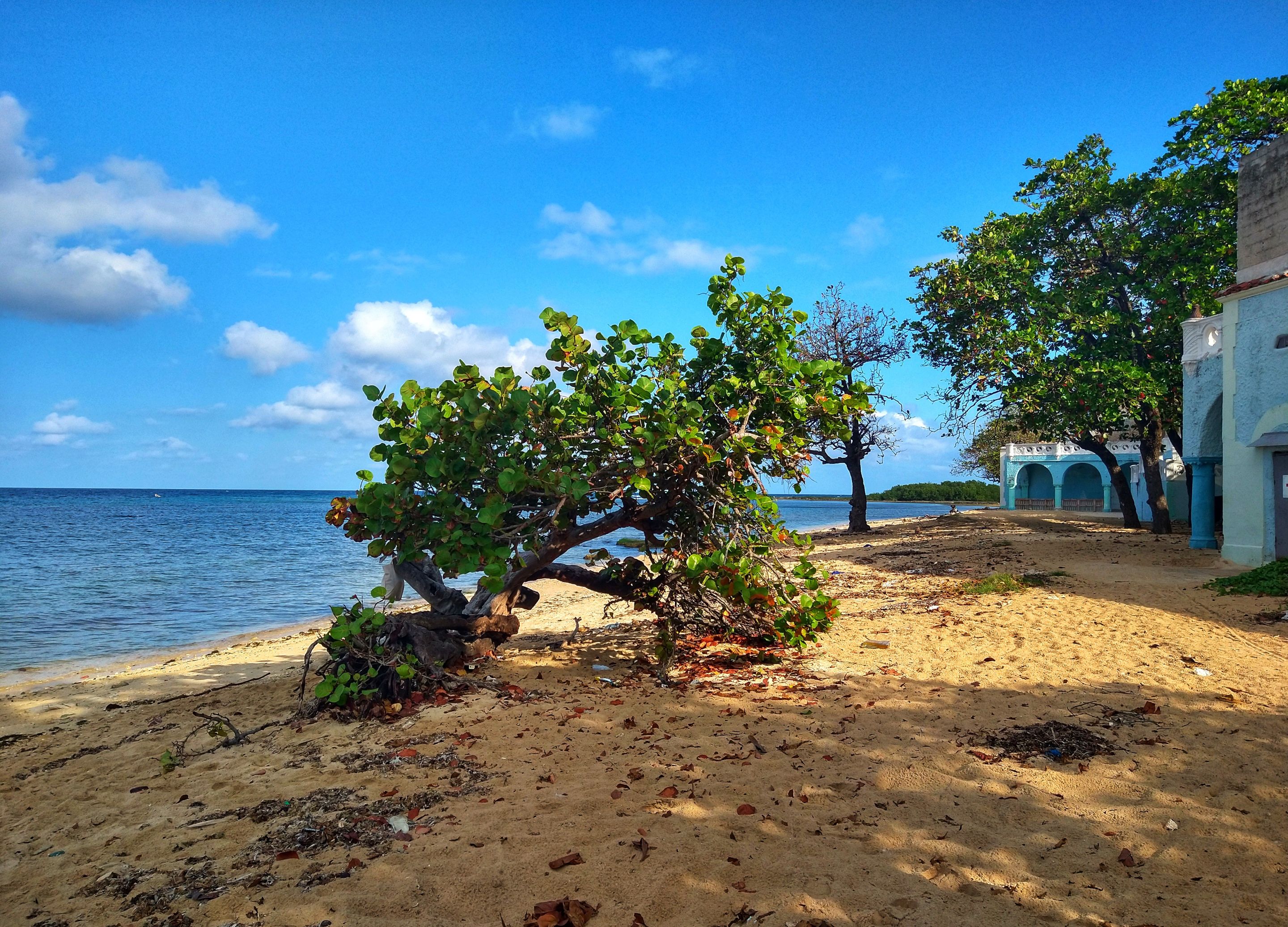 IMG_20221114_091356481_HDR-01~2.jpeg