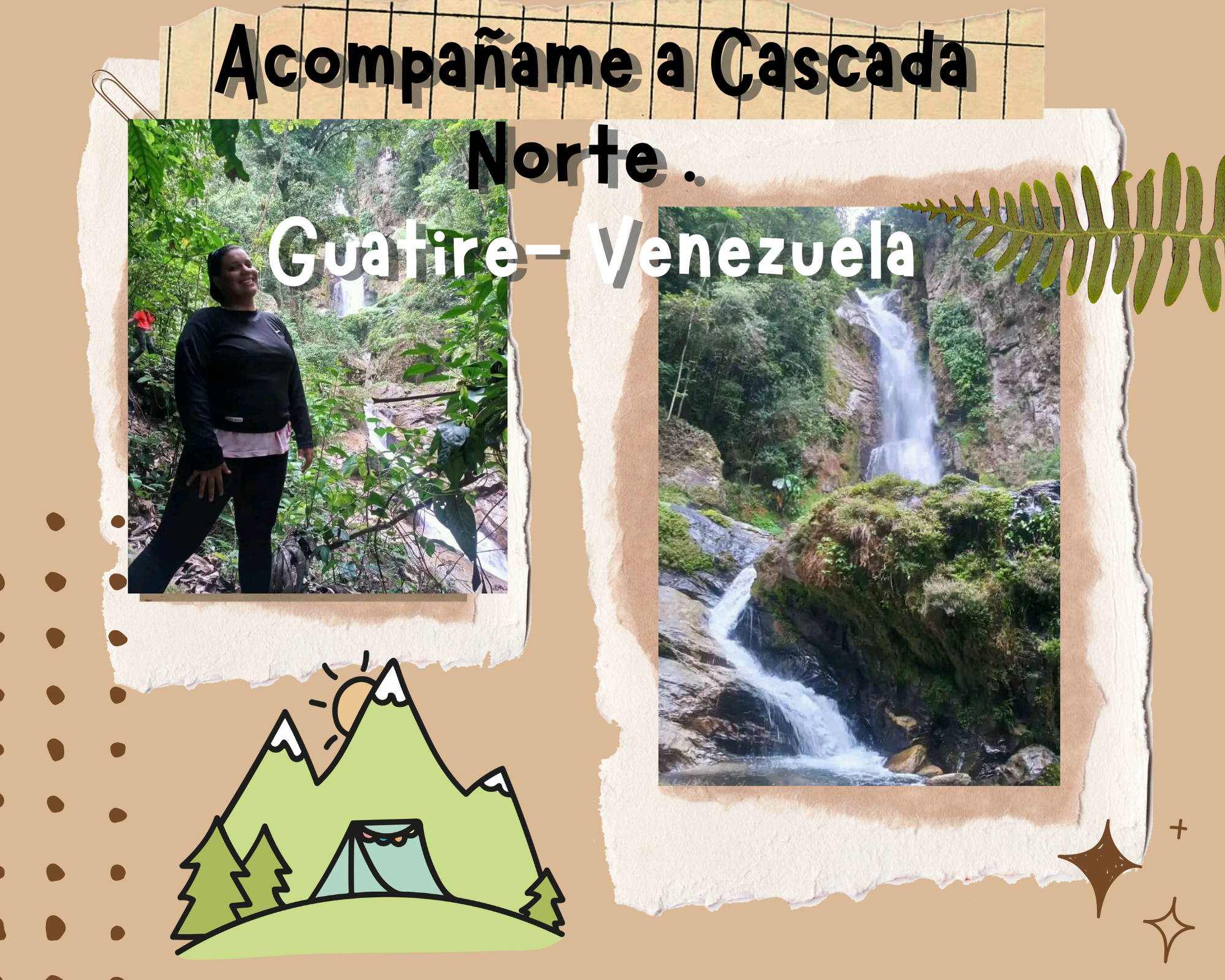 collage de fotos mood de naturaleza minimalista aesthetic.png
