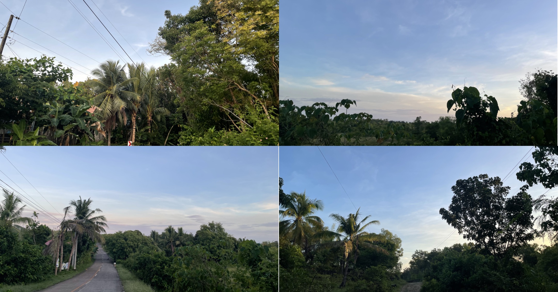 IMG_3480.jpeg