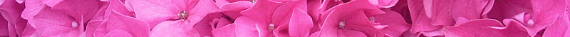 1000551324.png