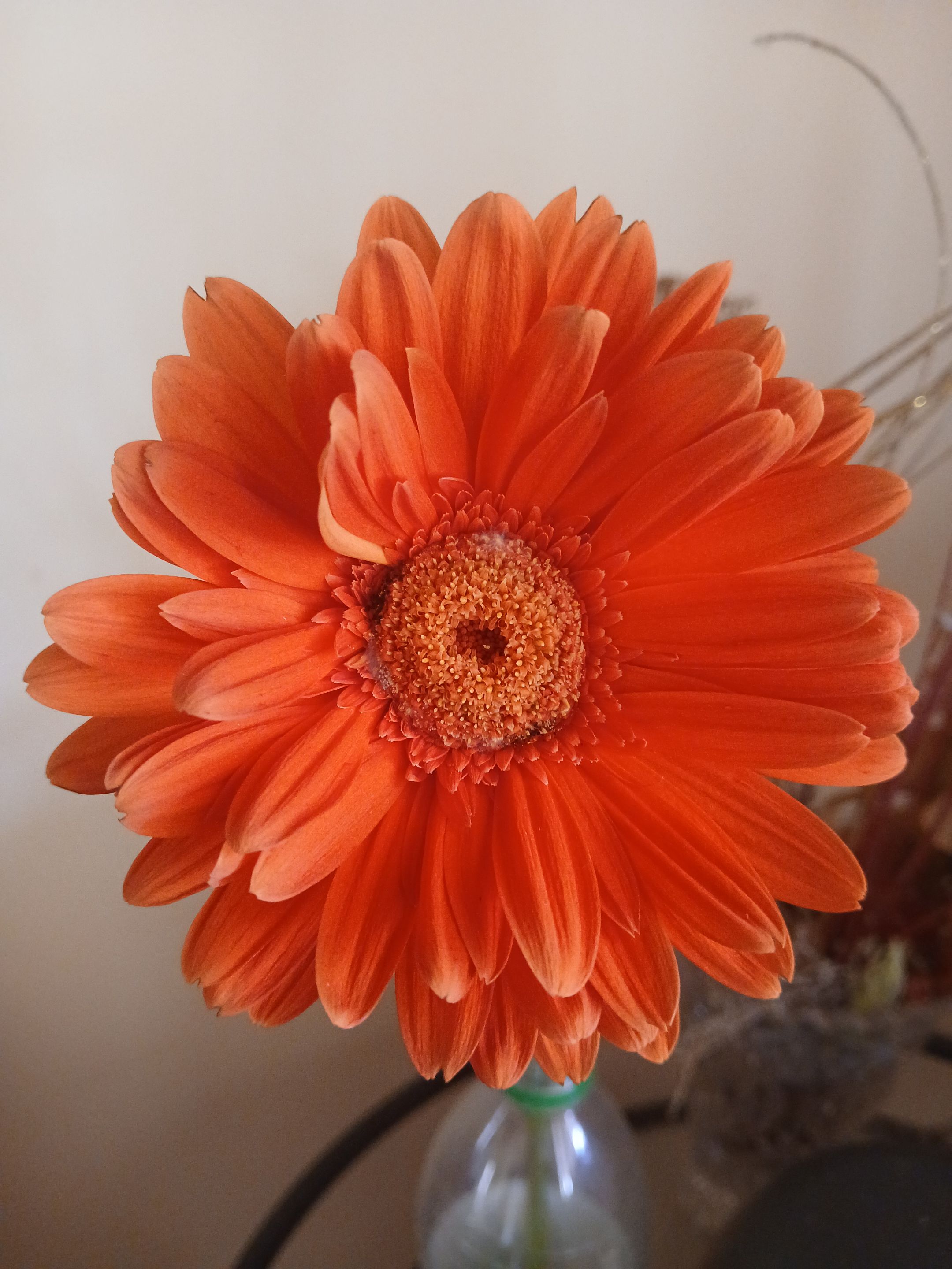 1000882893.jpg