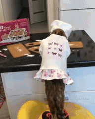 ezgif.comresize.gif