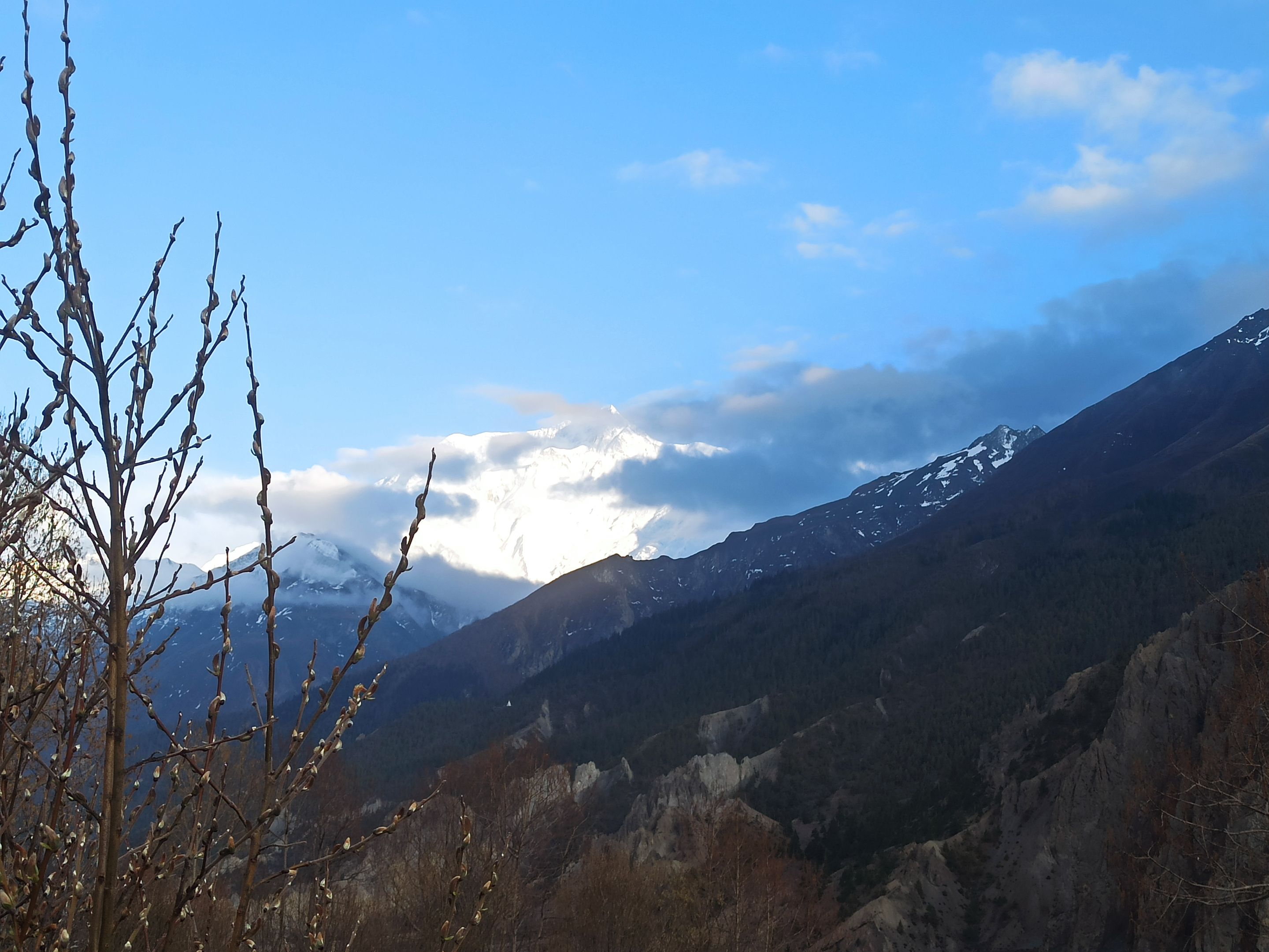 IMG_20220422_180514.jpg