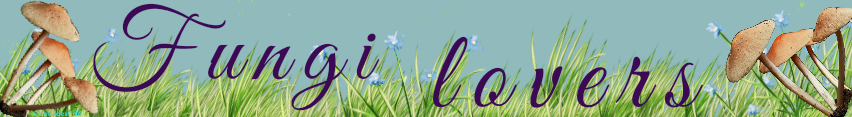 lourdeshernandez_20200919235046.png