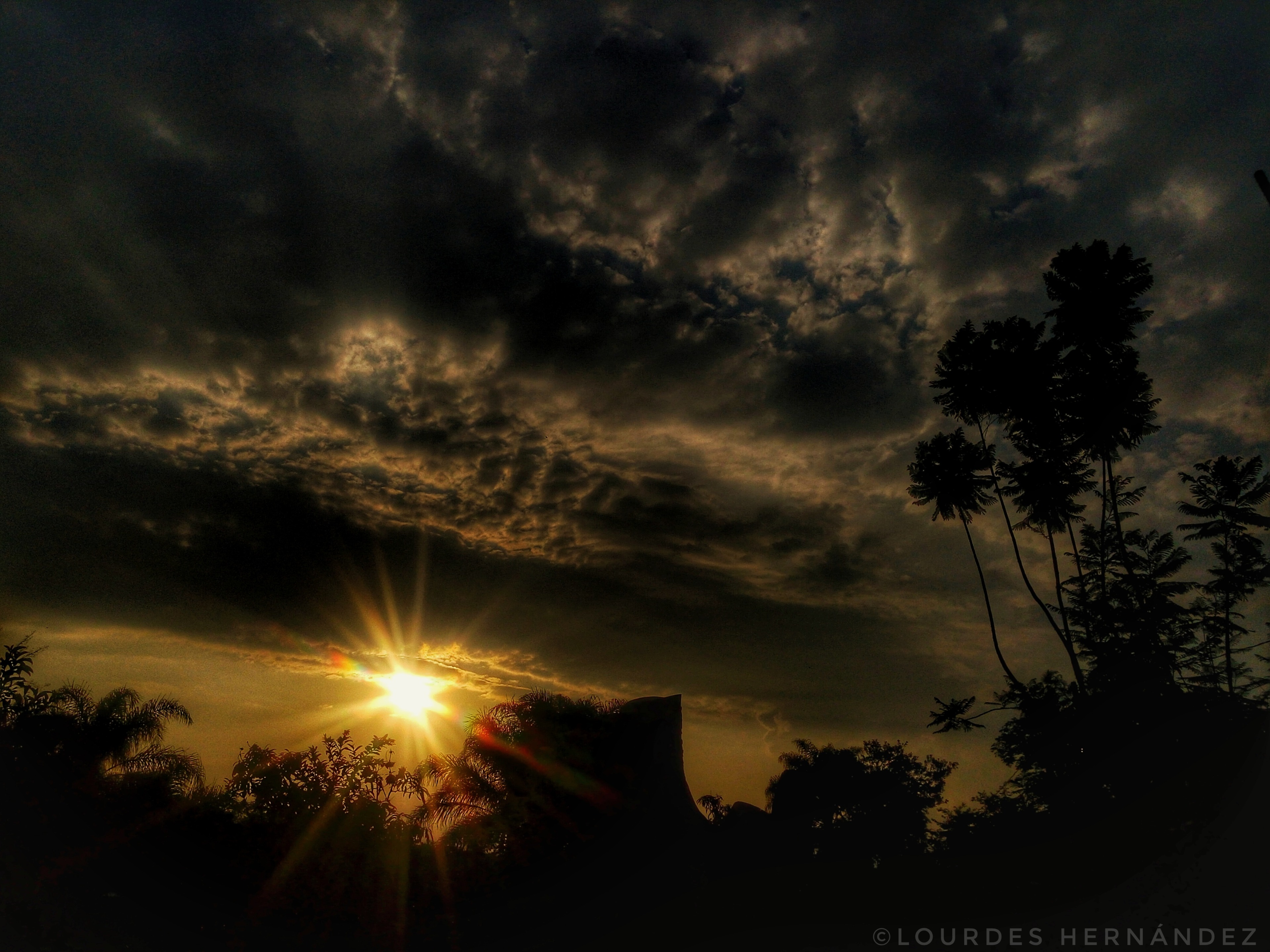 20160618_191459_HDR010101.jpeg