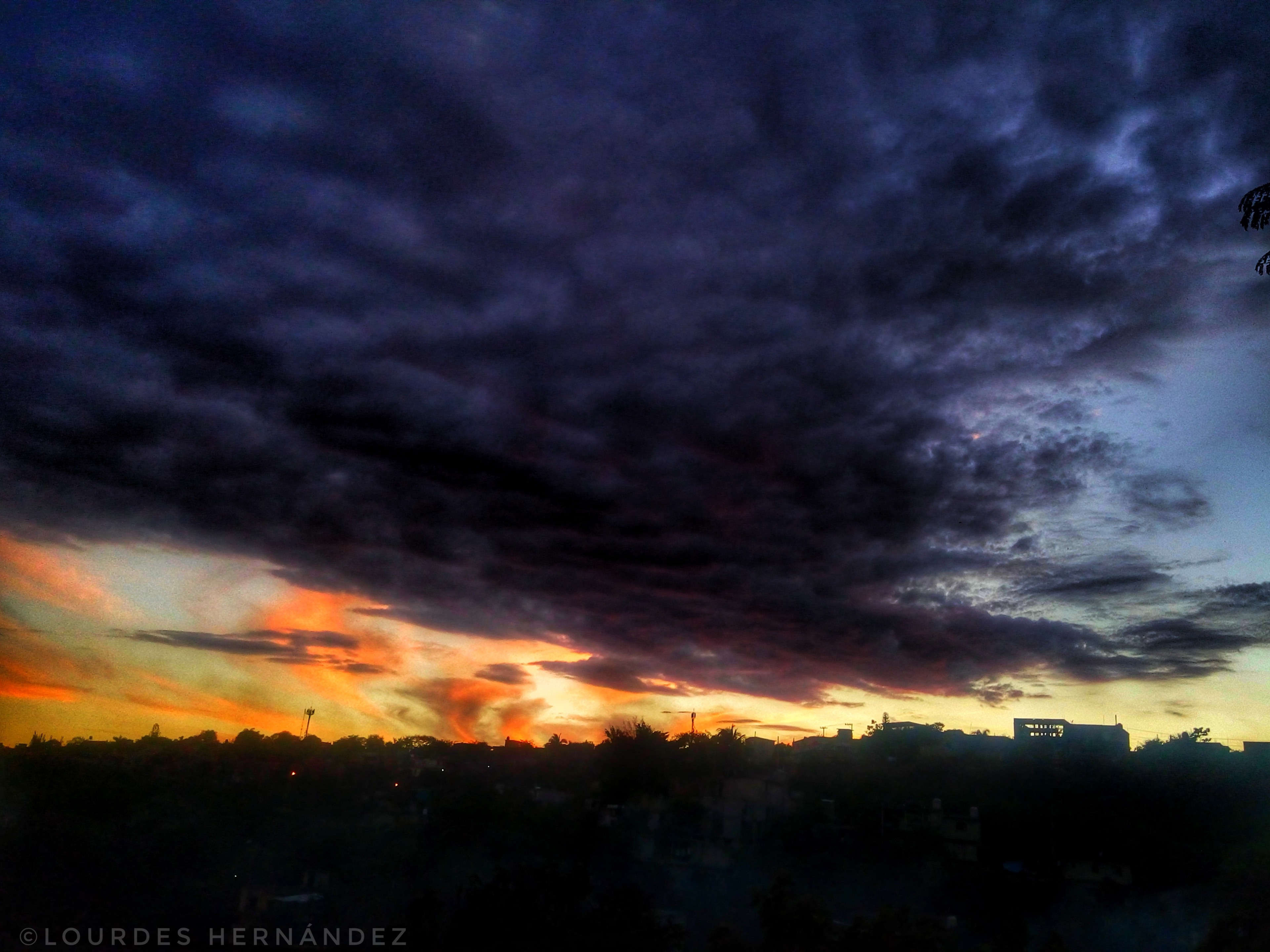 20161120_180313_HDR010106.jpeg