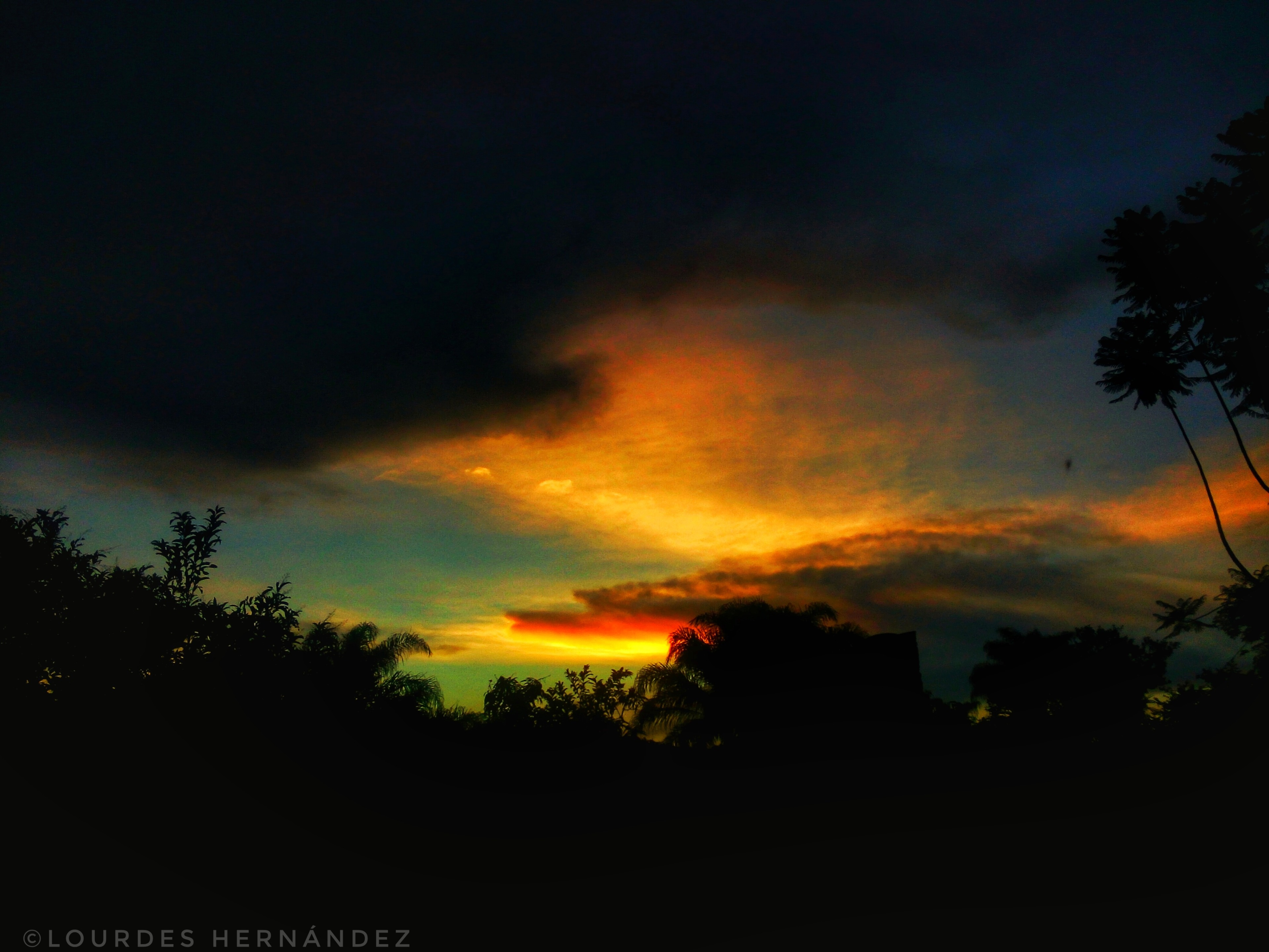 20160623_202151_HDR010102.jpeg