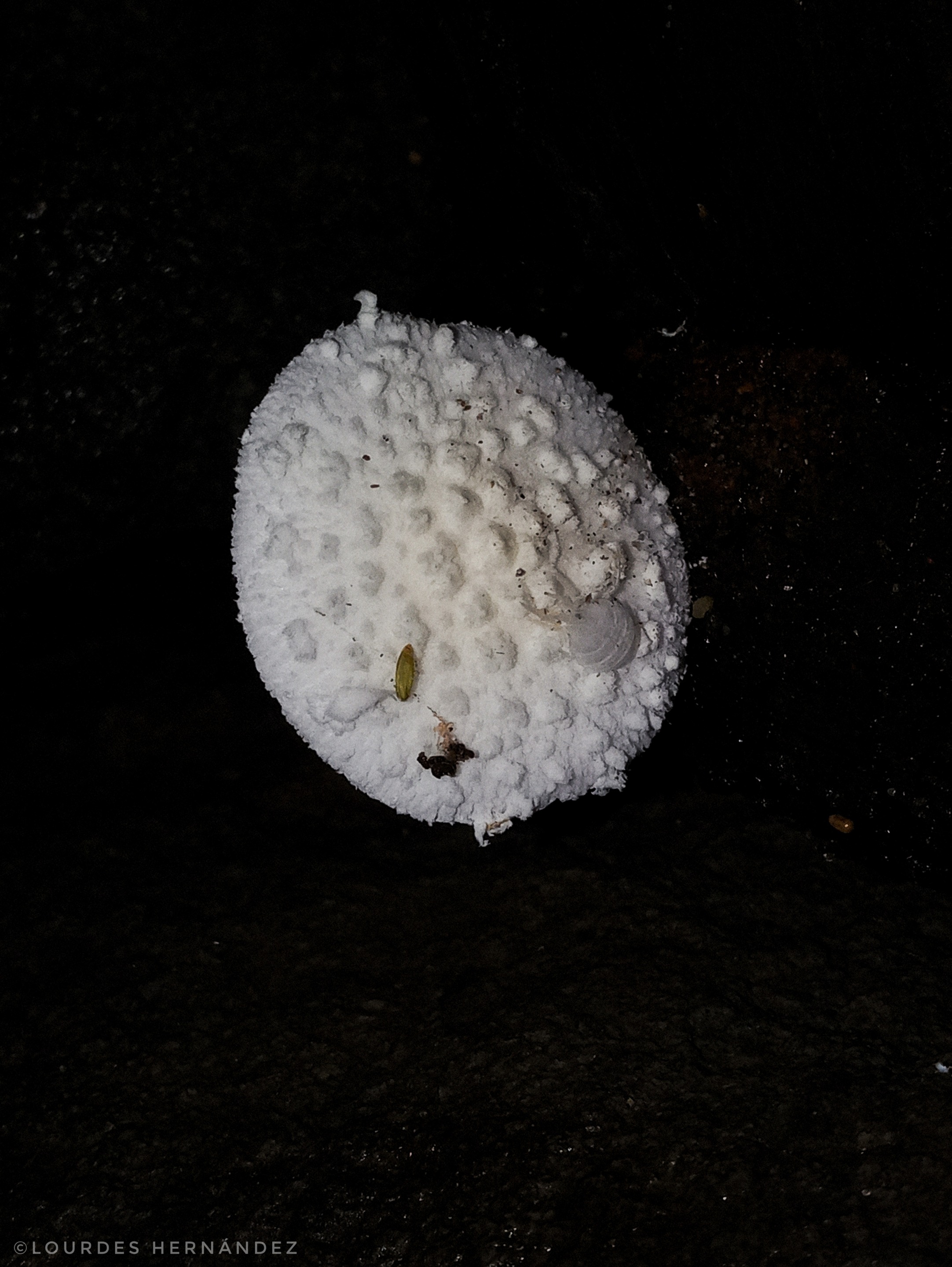 20200918_02155701.jpeg