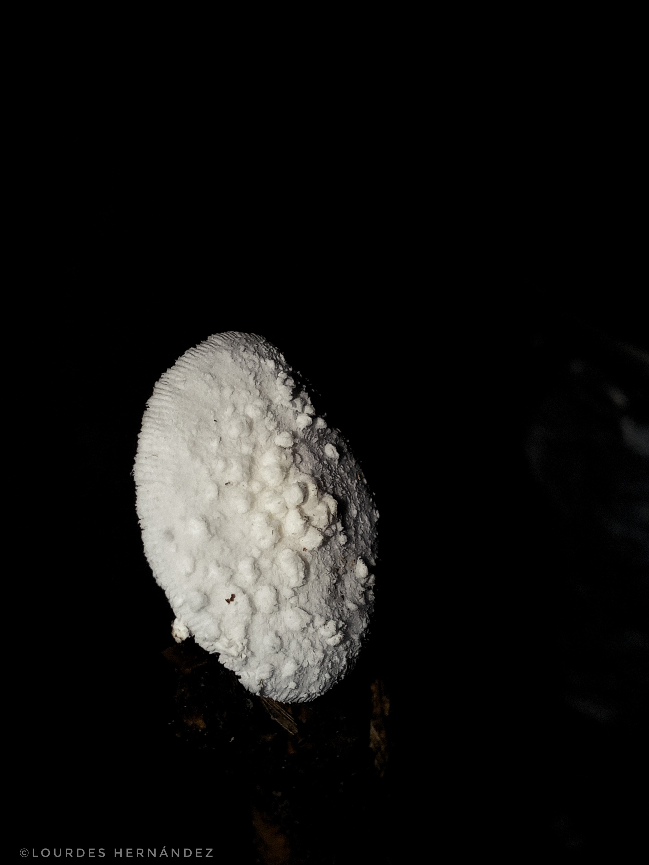 20200918_02240301.jpeg